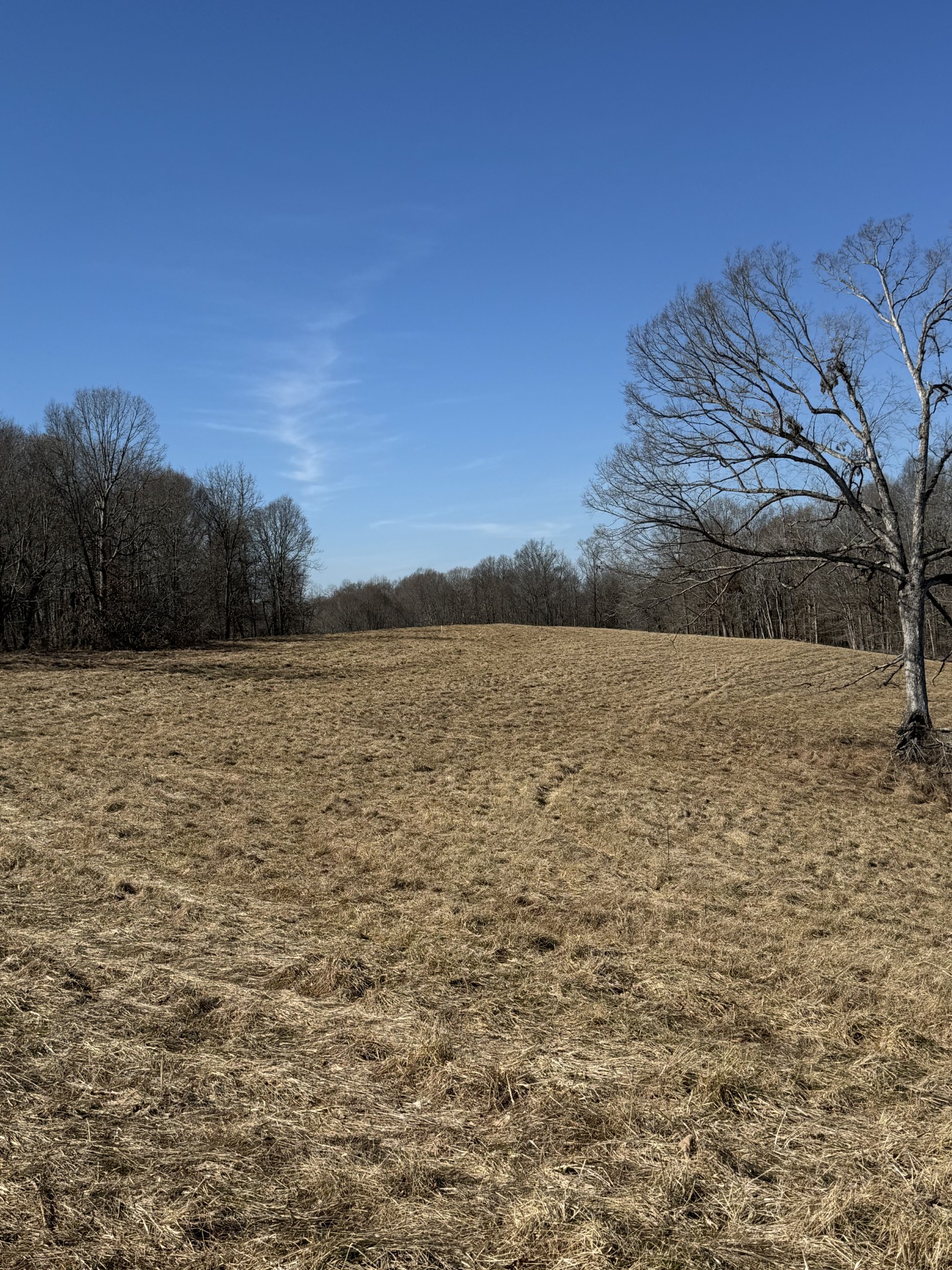 0 Oak Grove Rd Property Photo