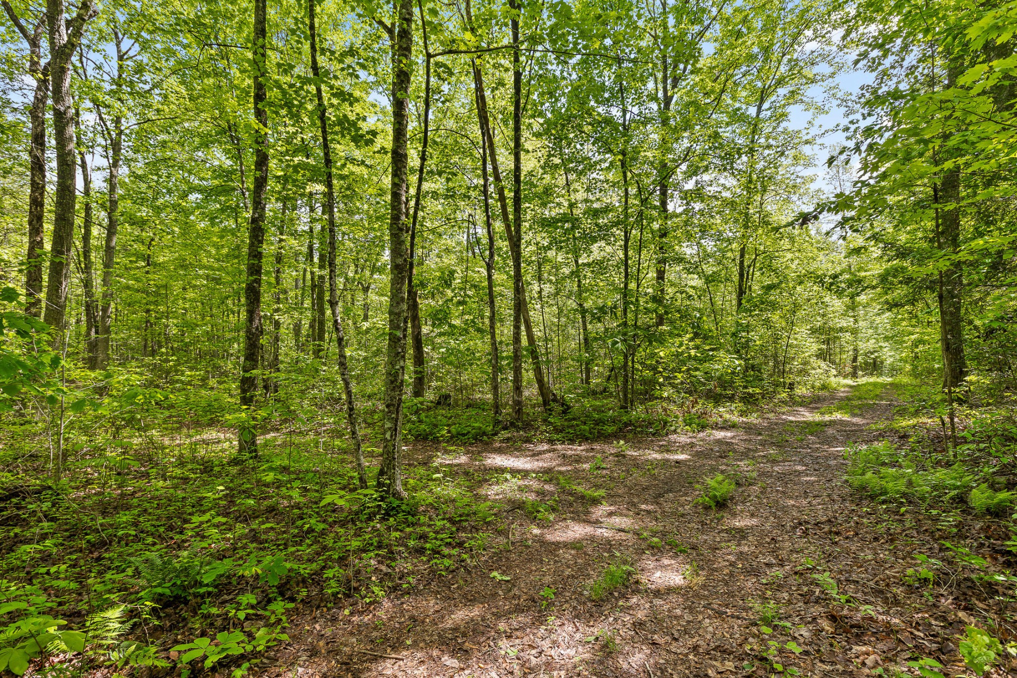 10 Acres Blaine Smith Road Property Photo