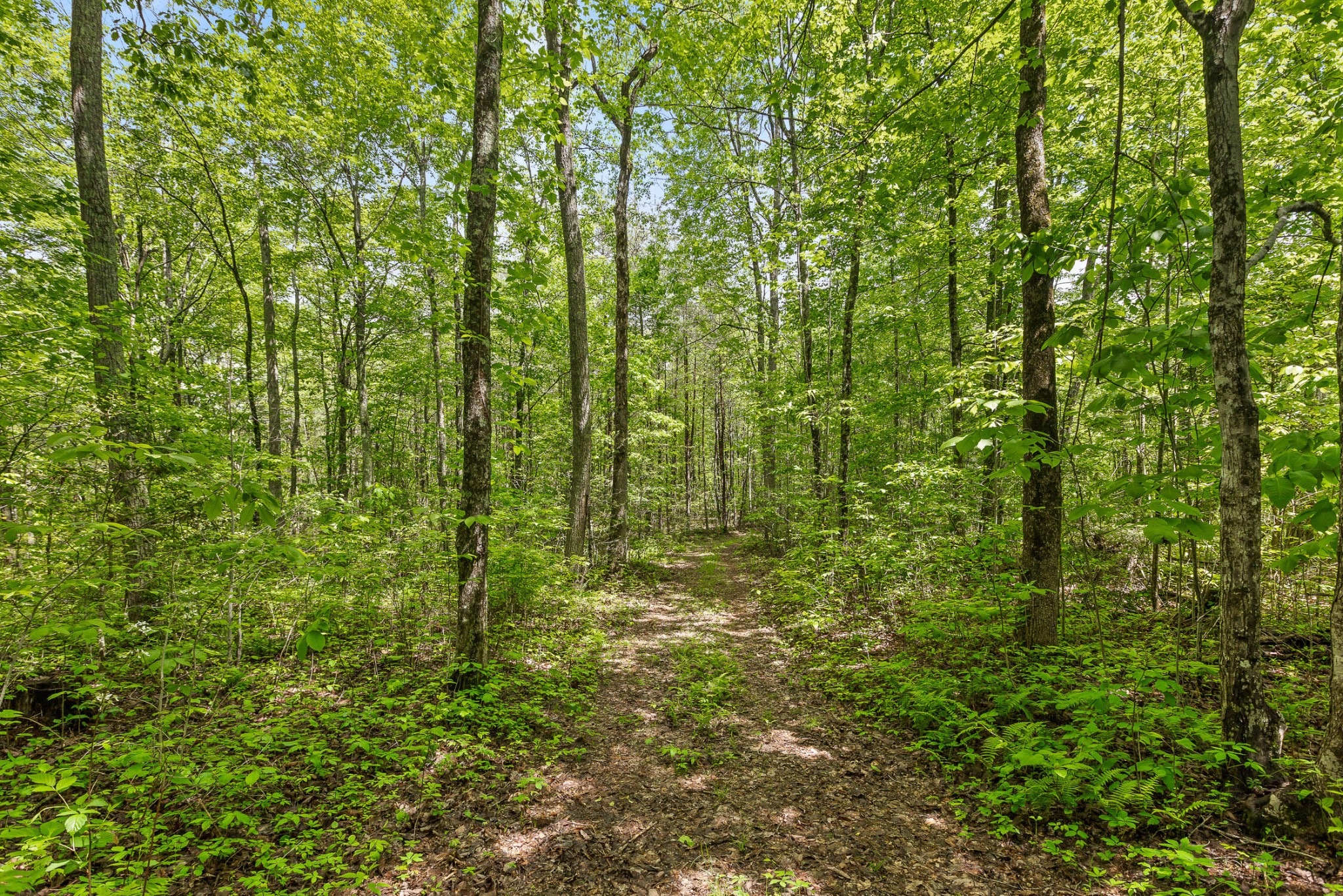 10 Acres Blaine Smith Road