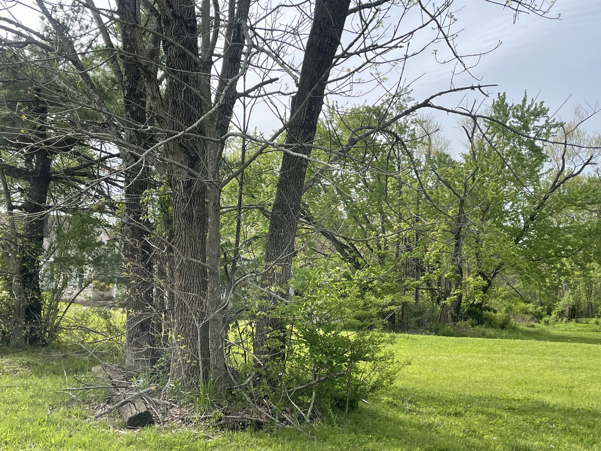 2511 Memorial Blvd Property Photo 6