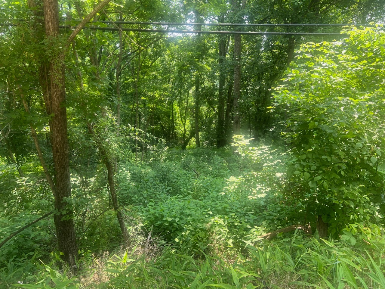 0 Turkey Creek Hwy Property Photo 1