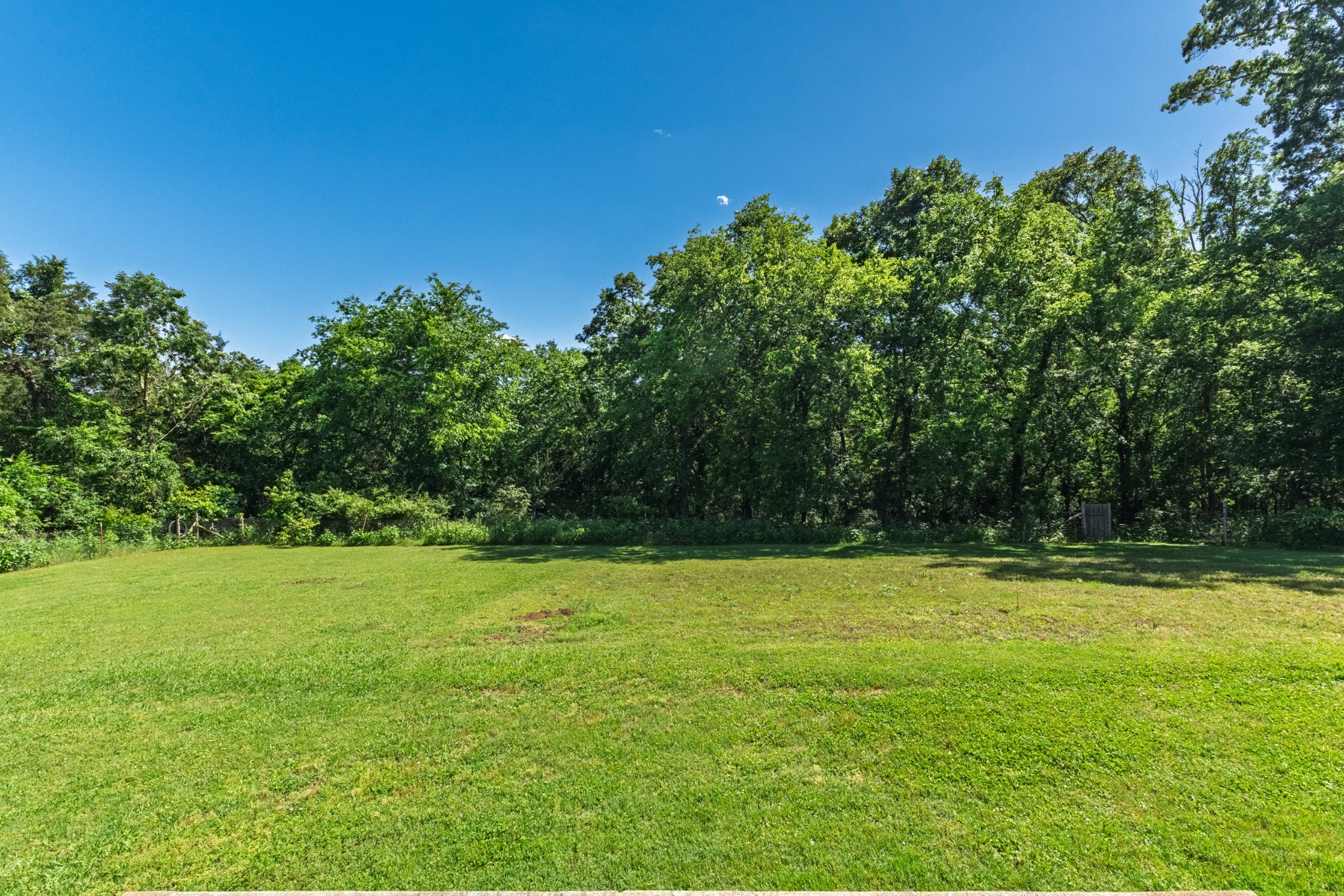 301 Payton Trl Property Photo 43