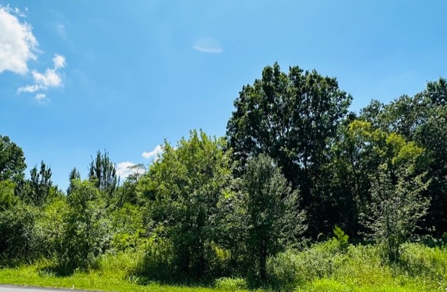 13877 Old Hickory Blvd Property Photo