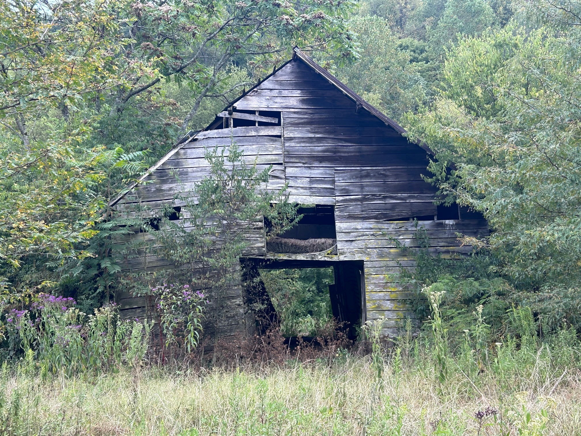 499 Tallent Rd Property Photo
