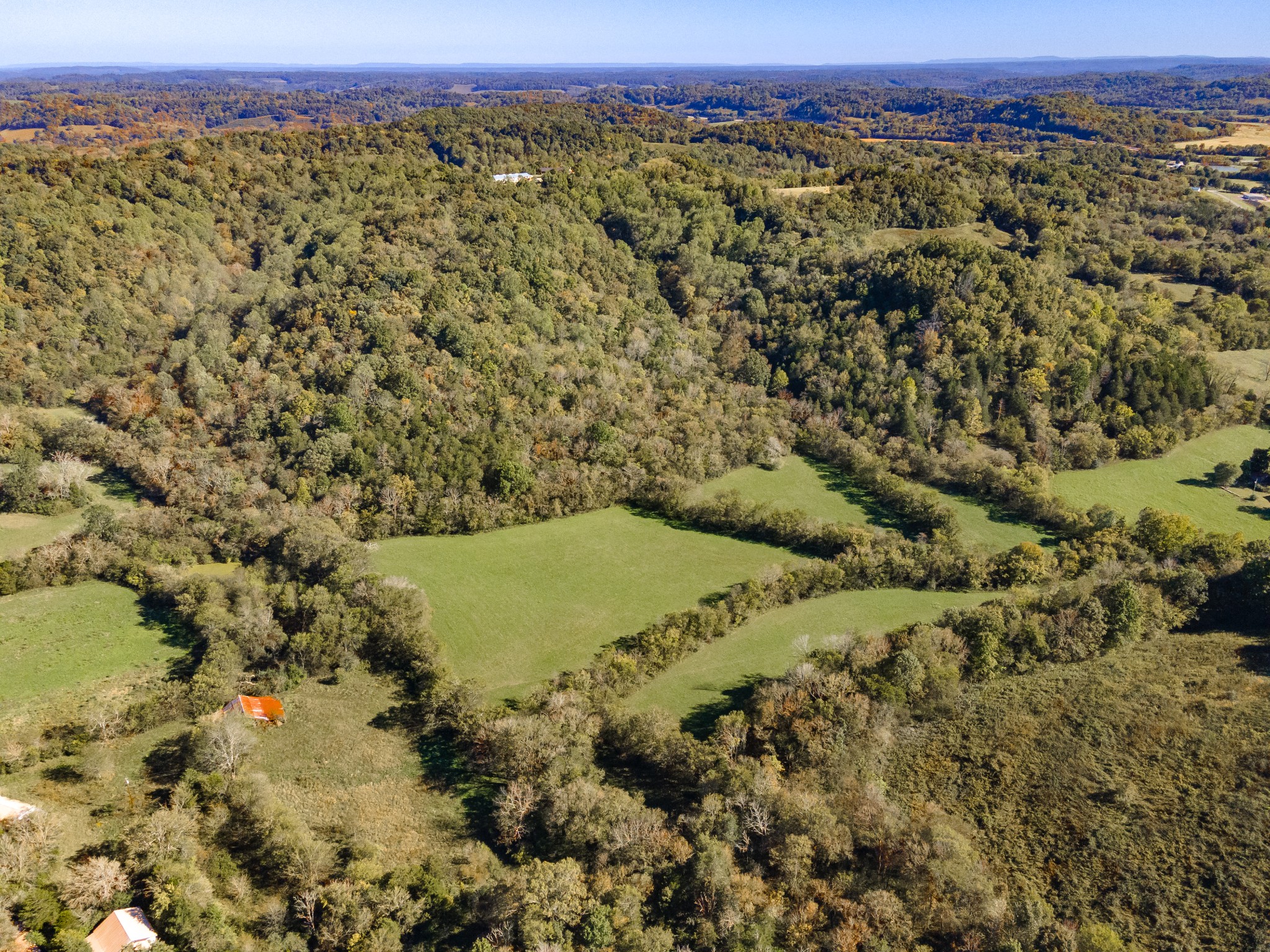 499 Tallent Rd Property Photo 6