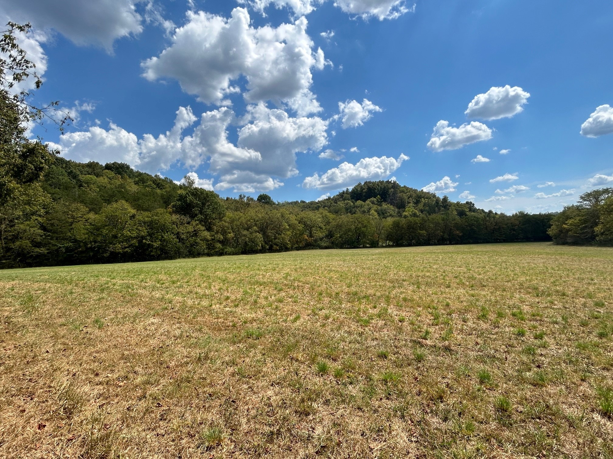499 Tallent Rd Property Photo 13