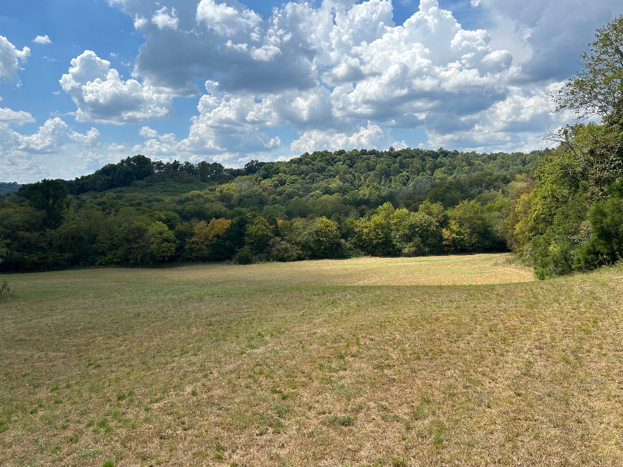 499 Tallent Rd Property Photo 14