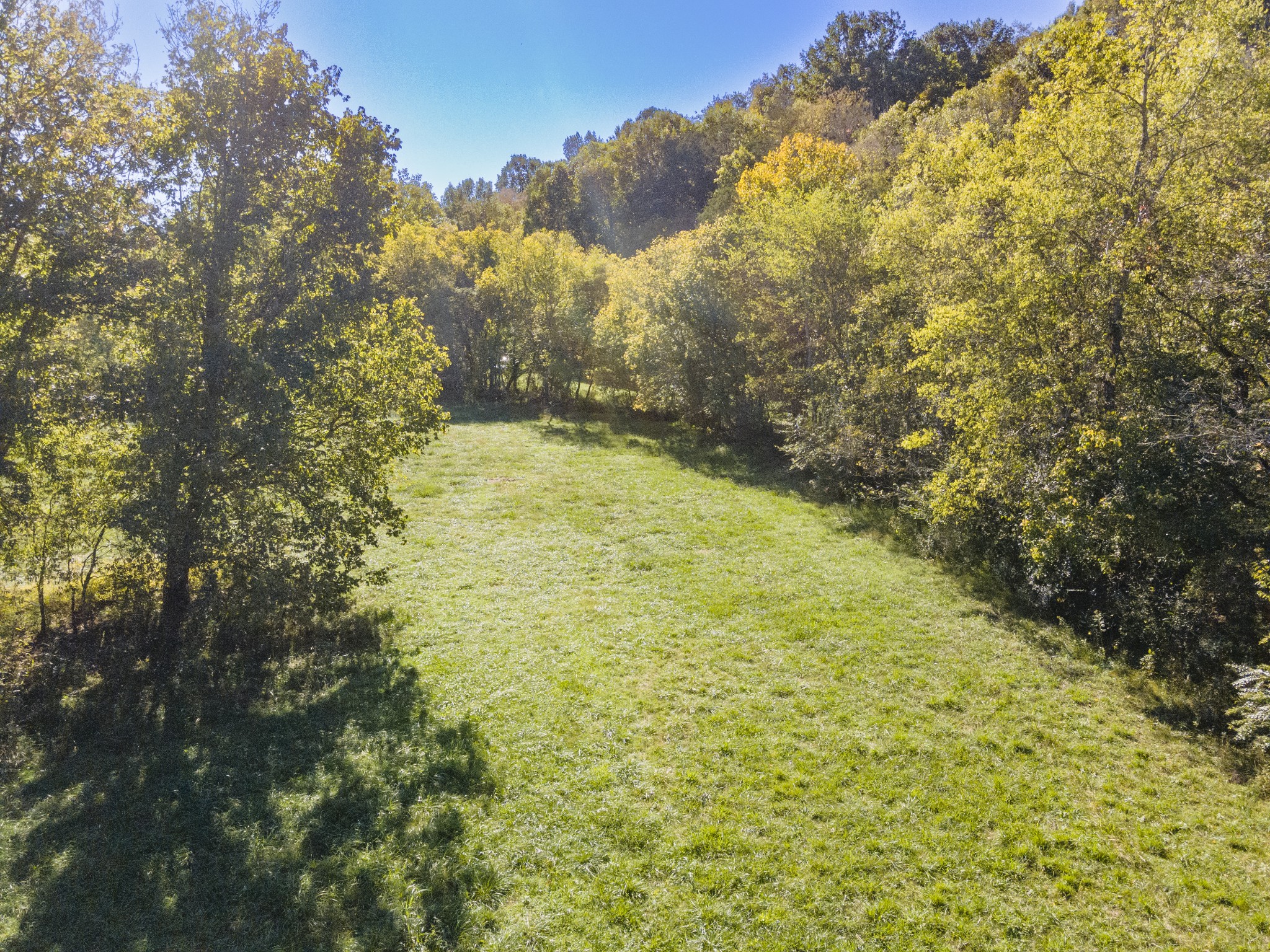 499 Tallent Rd Property Photo 16