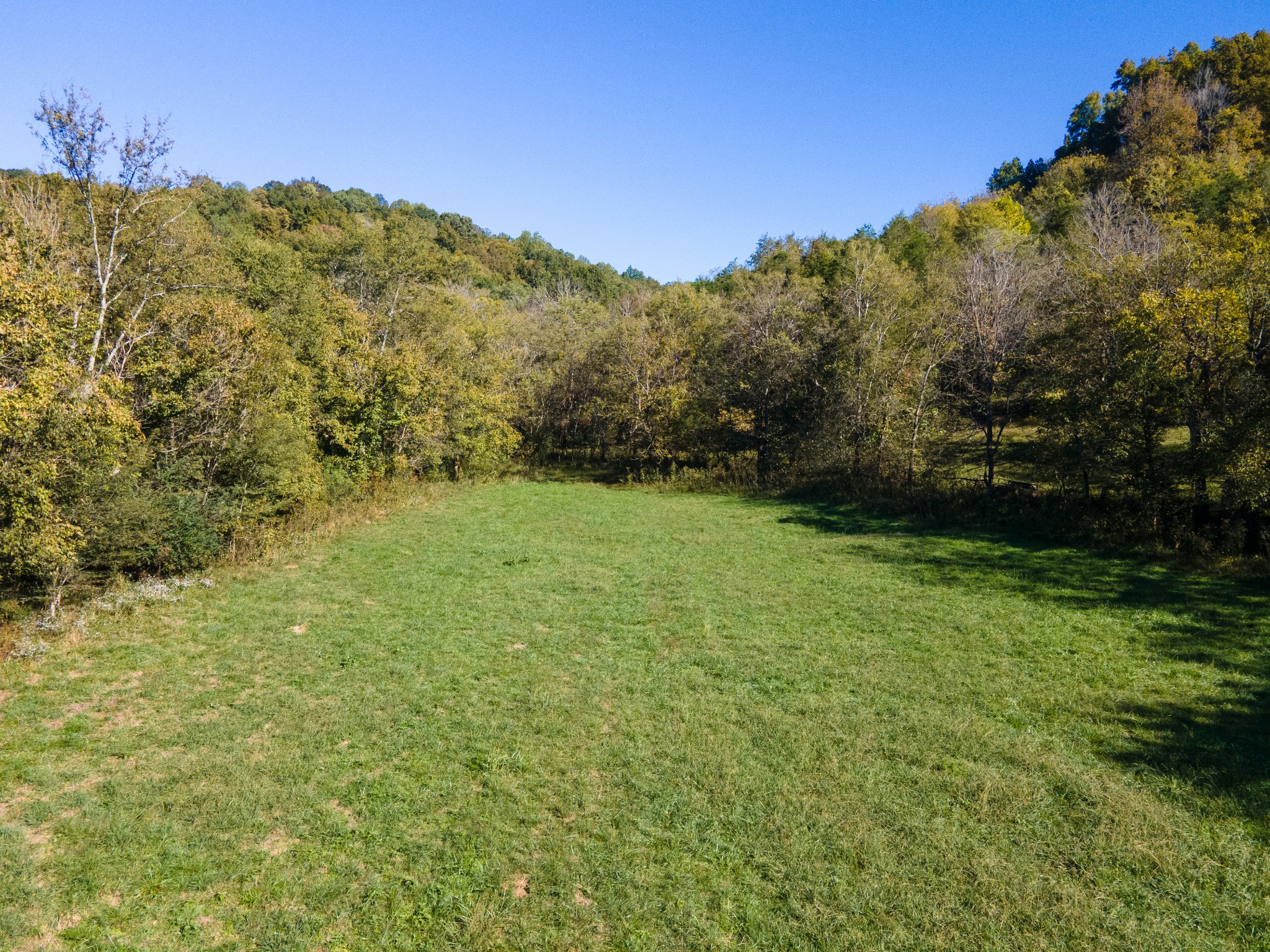 499 Tallent Rd Property Photo 18