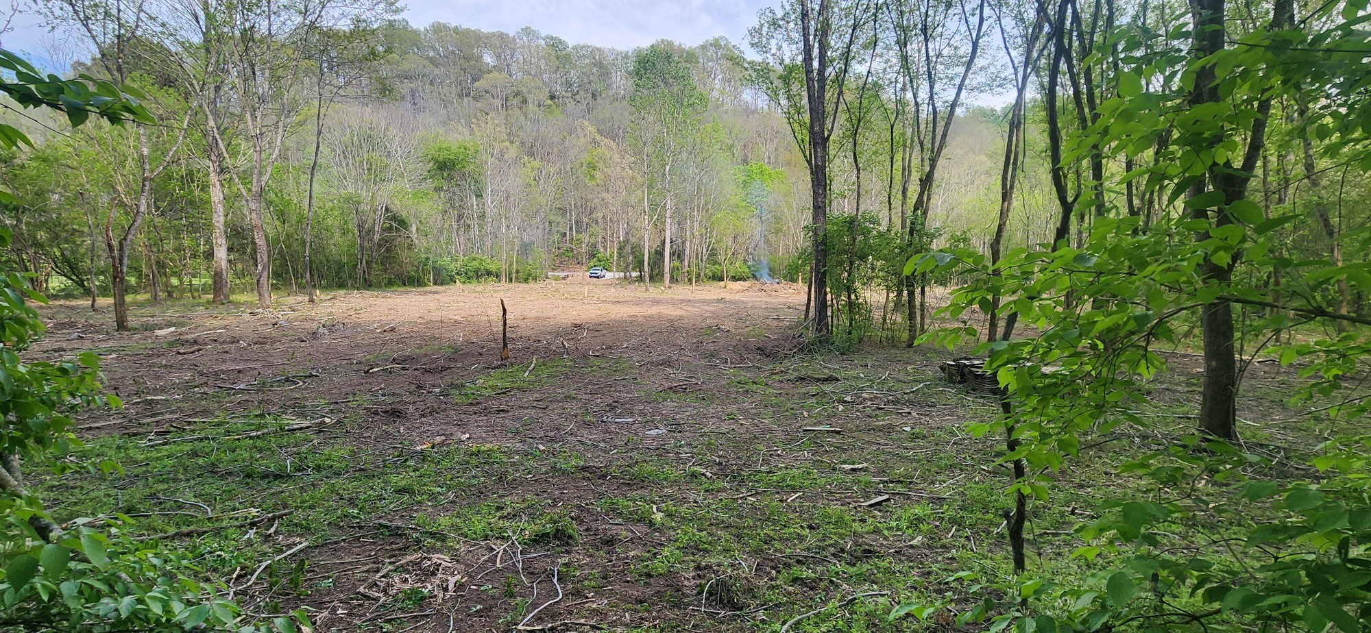 Pegram Real Estate Listings Main Image