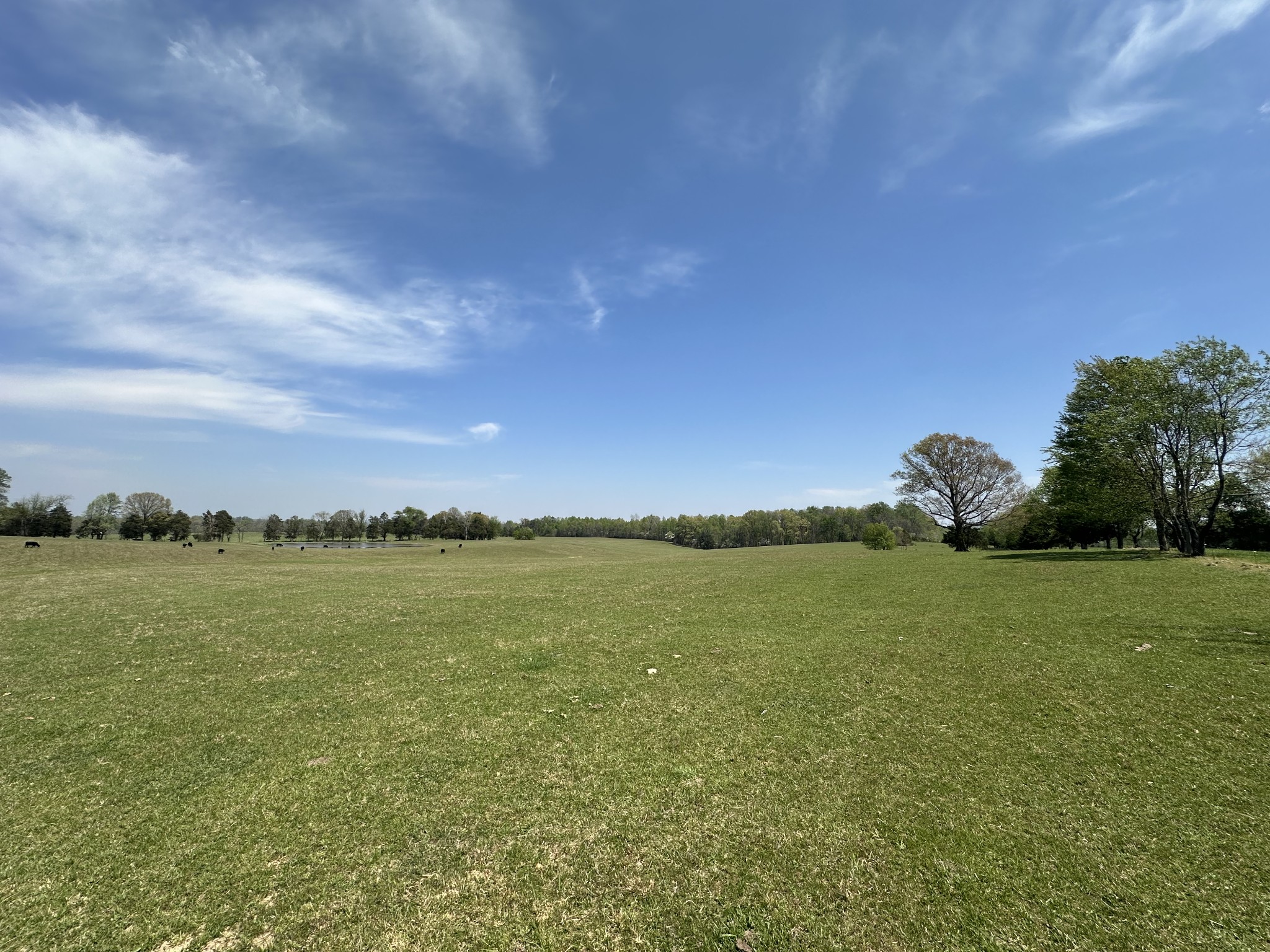 0 Zeb Warren Rd Property Photo