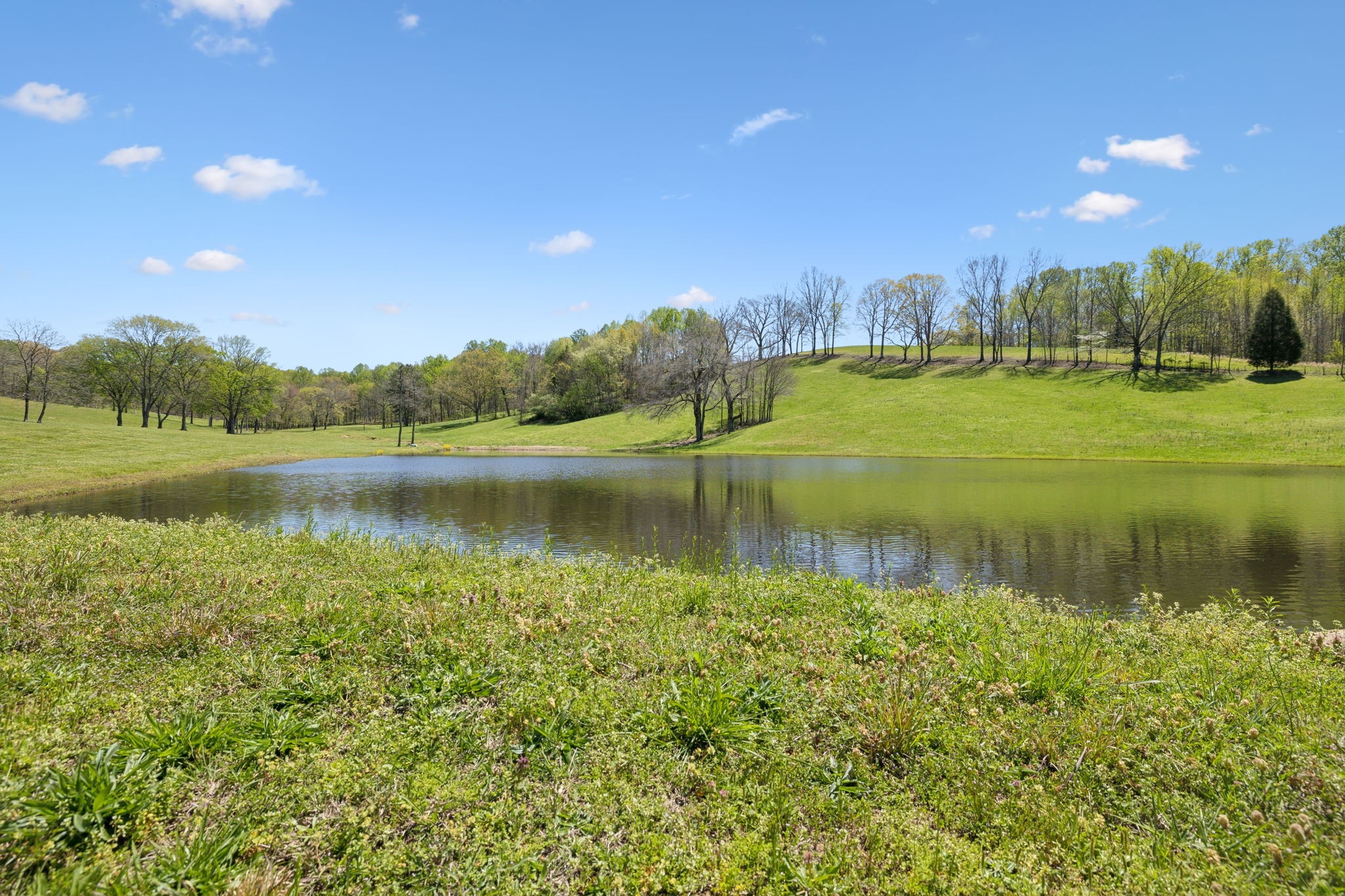 16700 Campbellsville Rd Property Photo 1