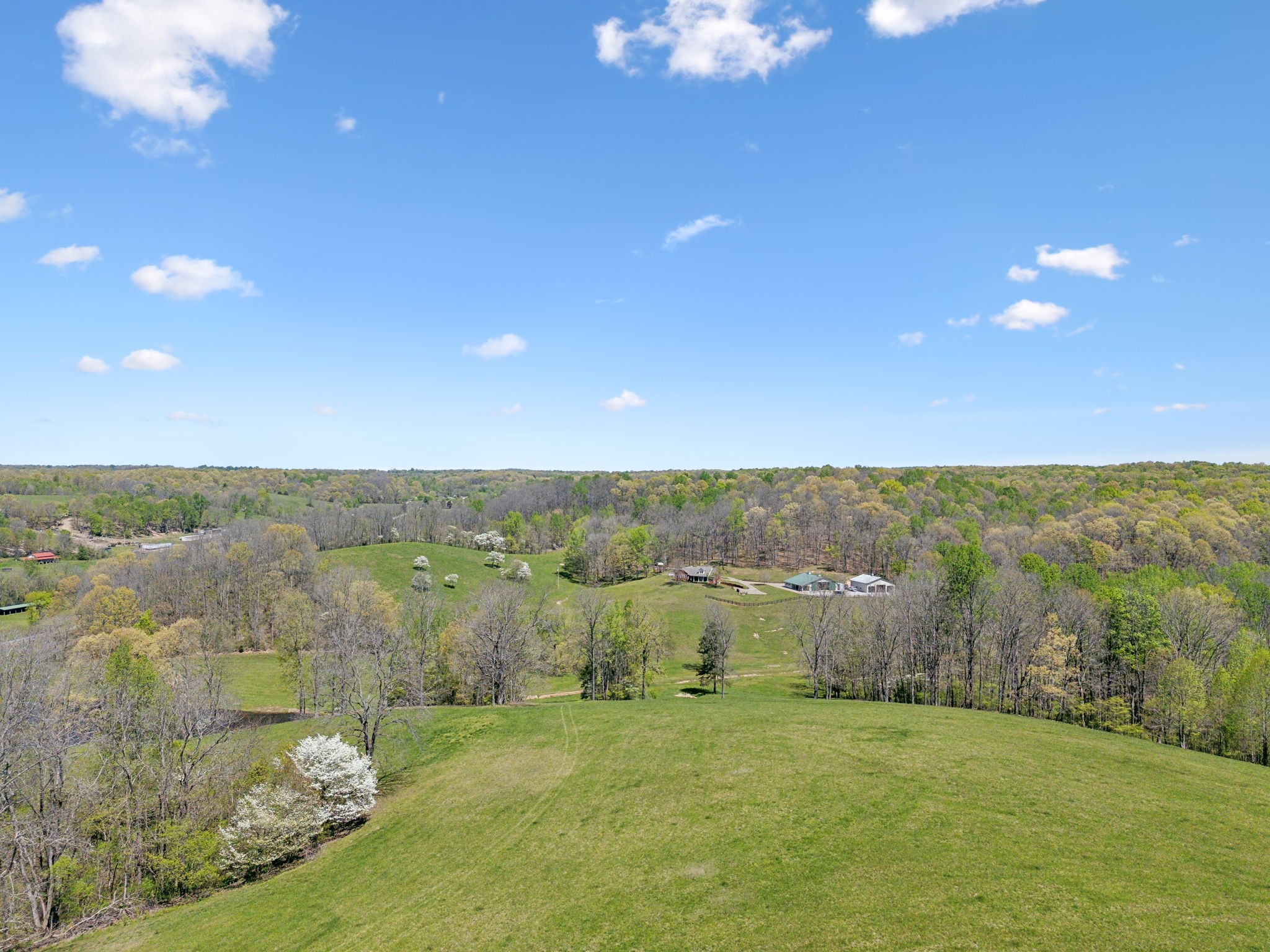 16700 Campbellsville Rd Property Photo 7