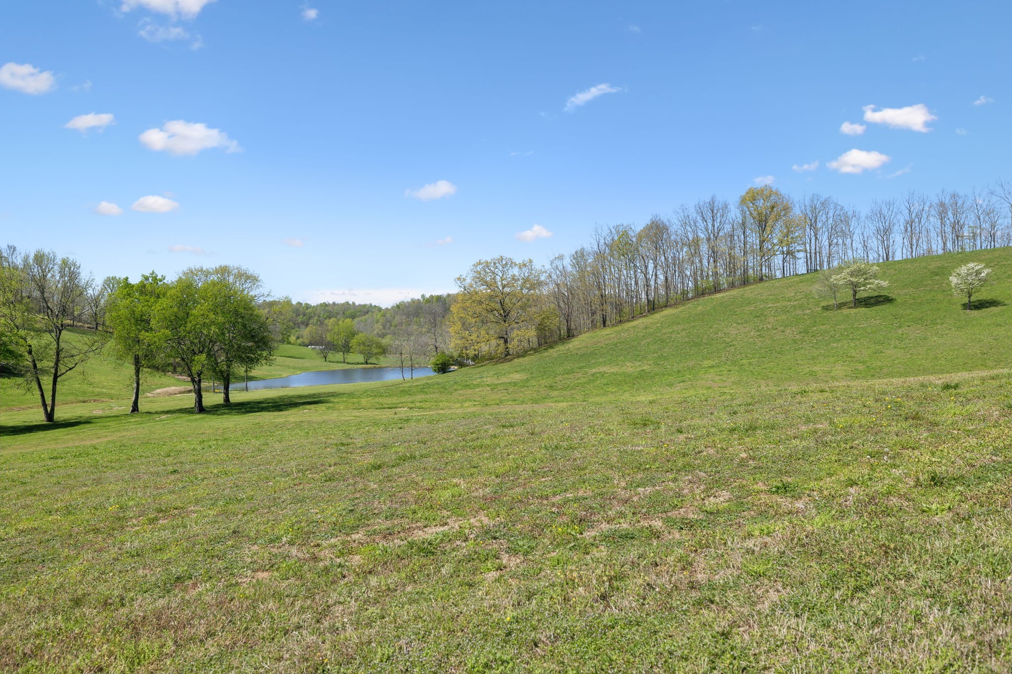 16700 Campbellsville Rd Property Photo 54