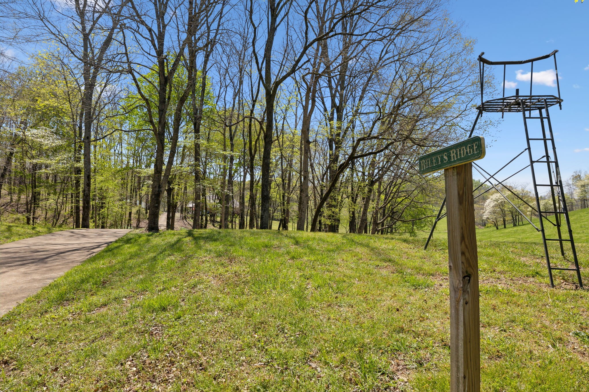 16700 Campbellsville Rd Property Photo 55
