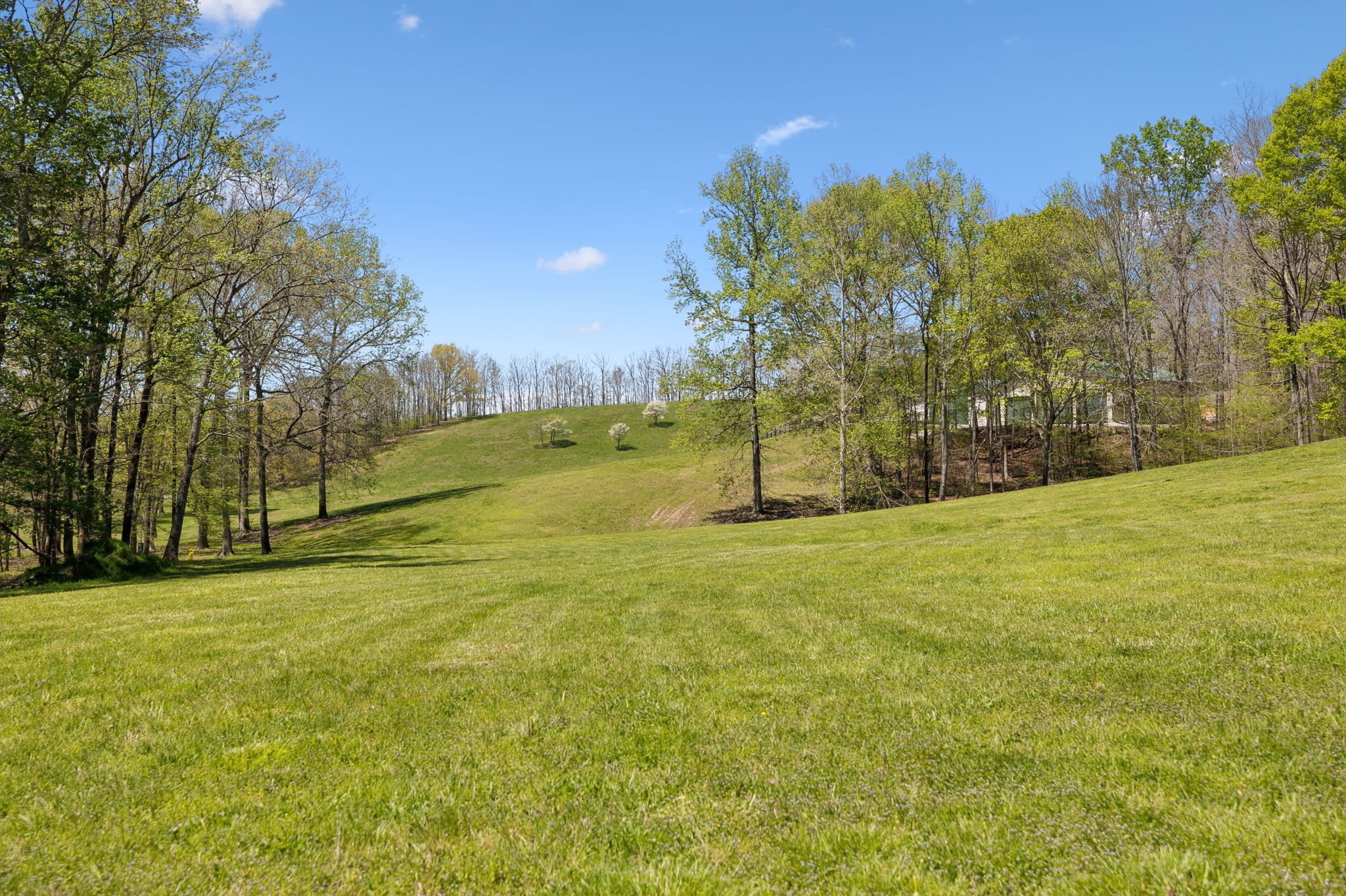 16700 Campbellsville Rd Property Photo 69
