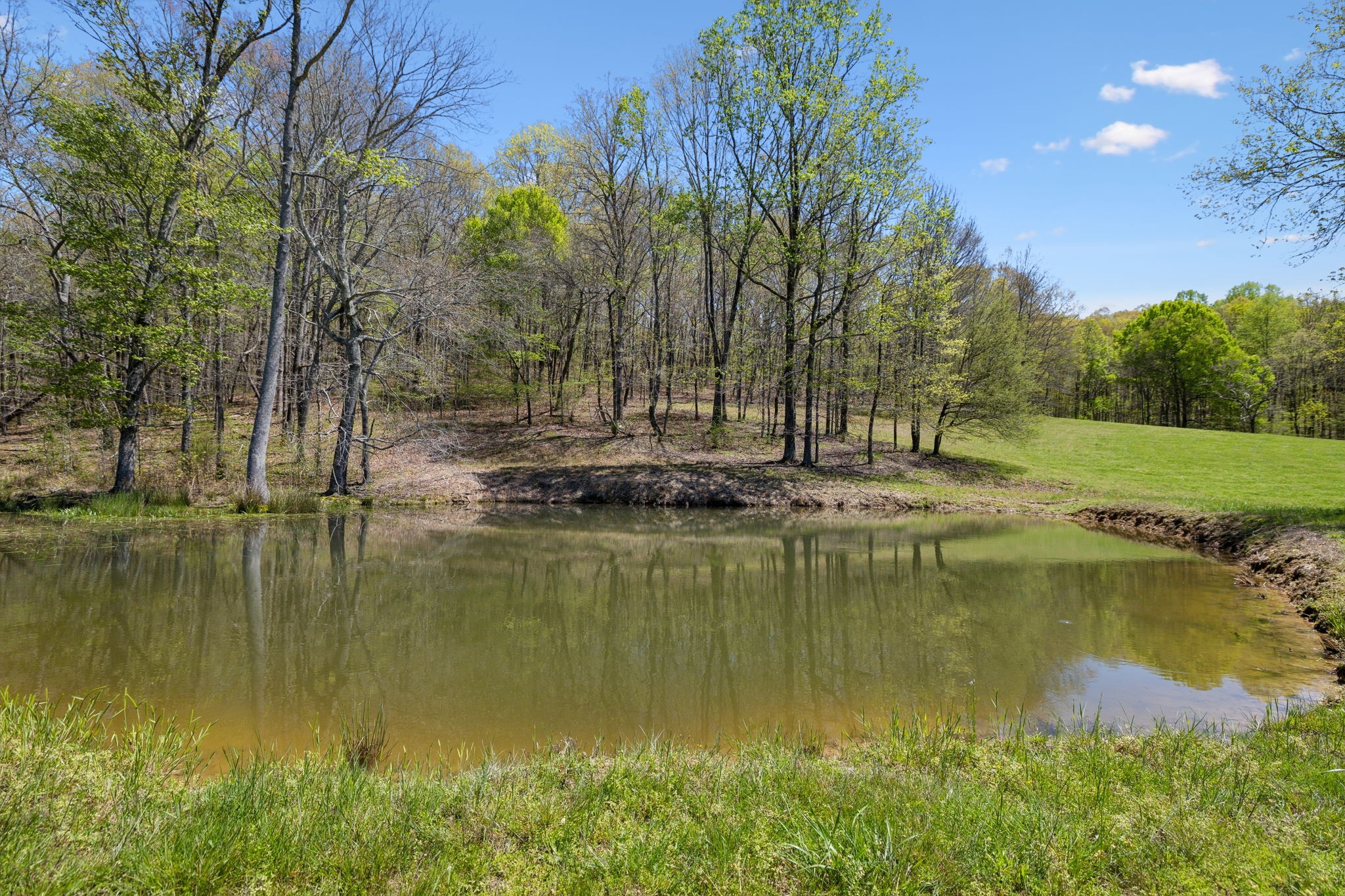16700 Campbellsville Rd Property Photo 70