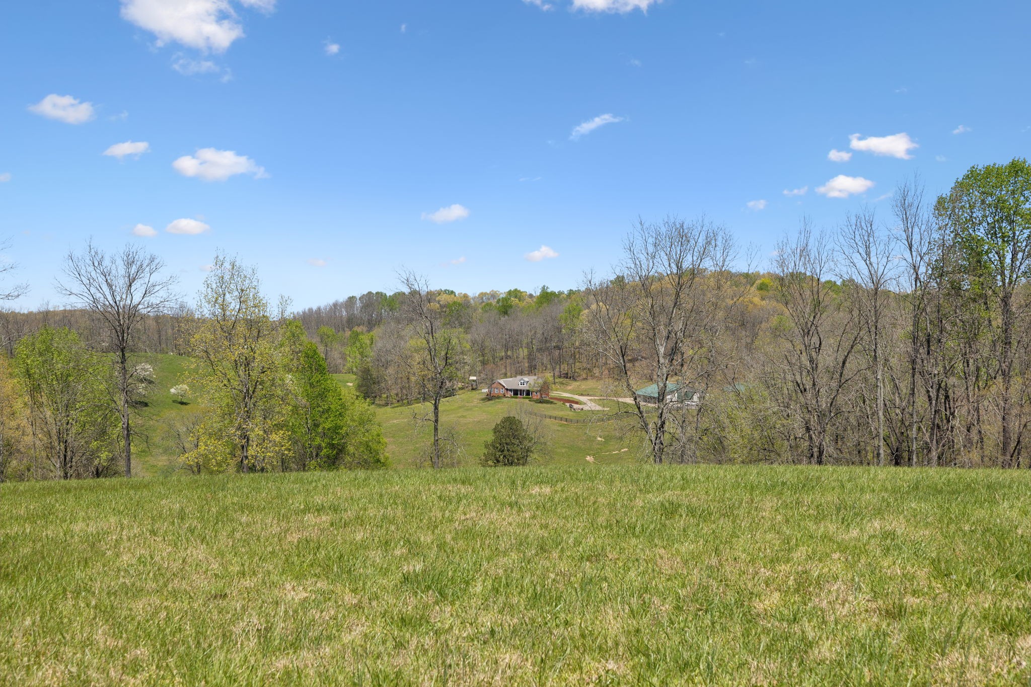 16700 Campbellsville Rd Property Photo 75