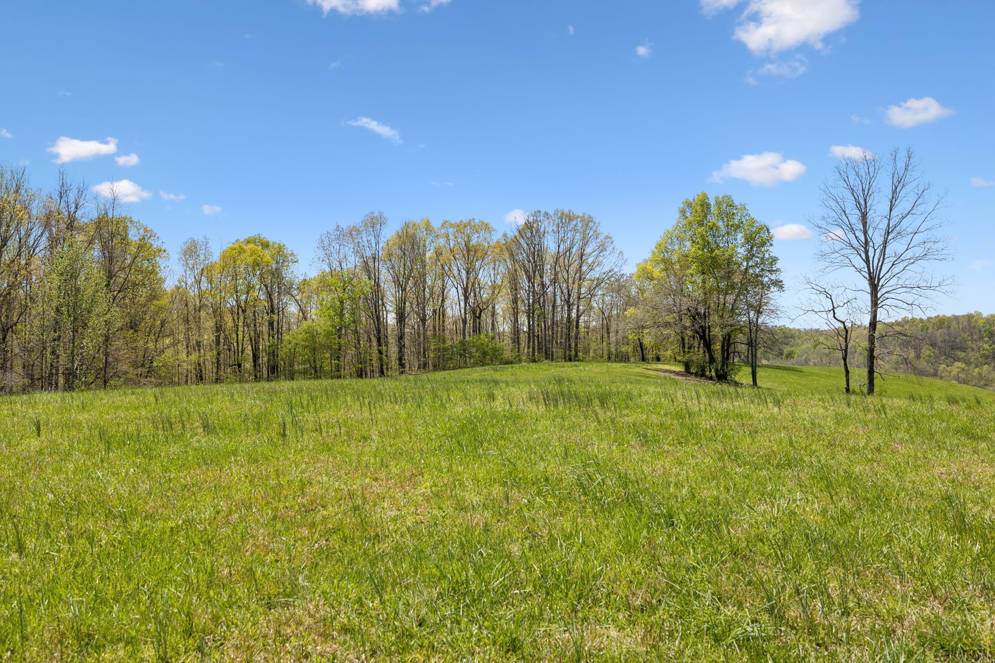 16700 Campbellsville Rd Property Photo 76