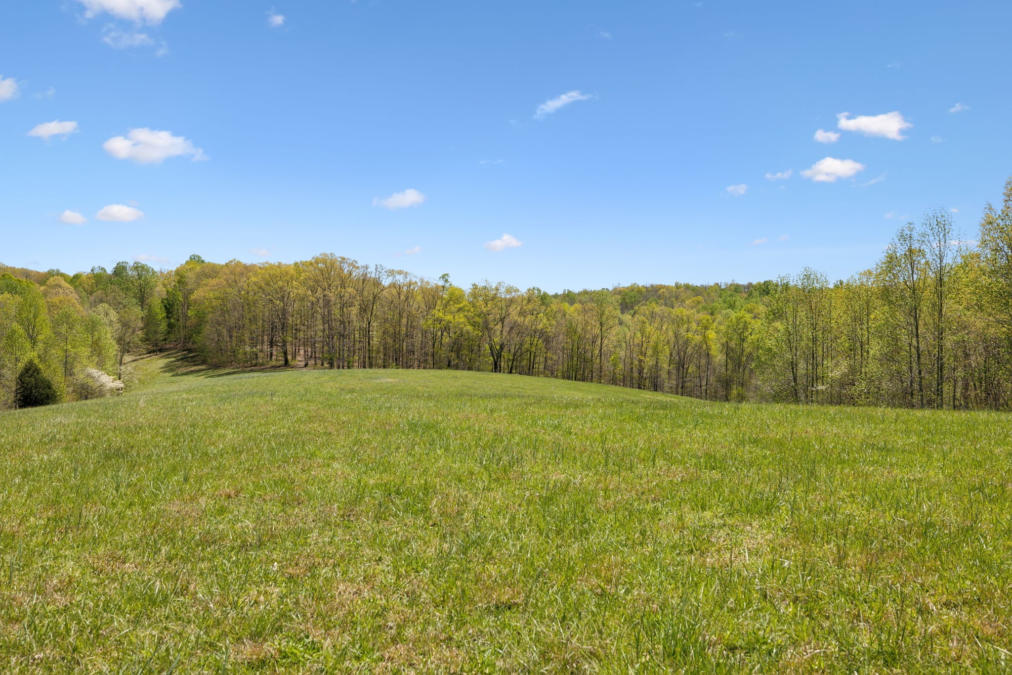 16700 Campbellsville Rd Property Photo 77