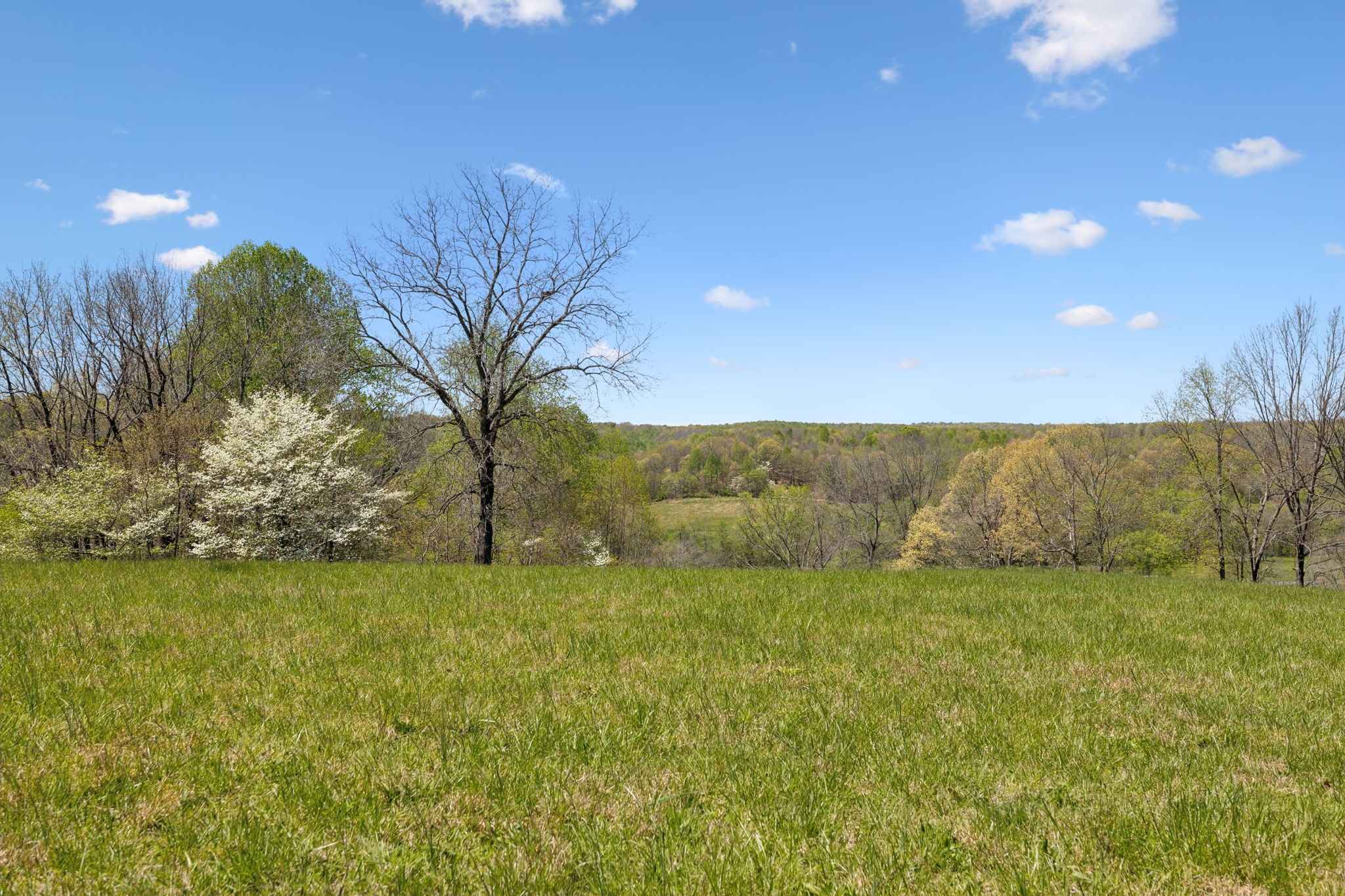 16700 Campbellsville Rd Property Photo 78