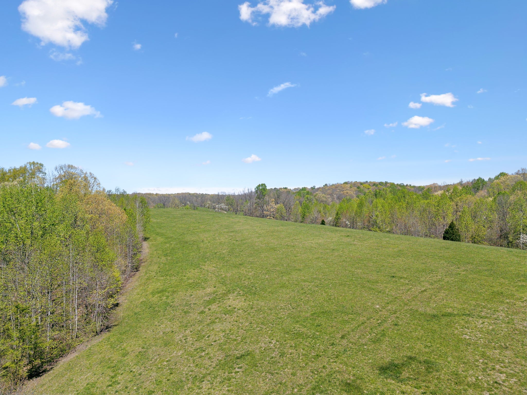 16700 Campbellsville Rd Property Photo 90