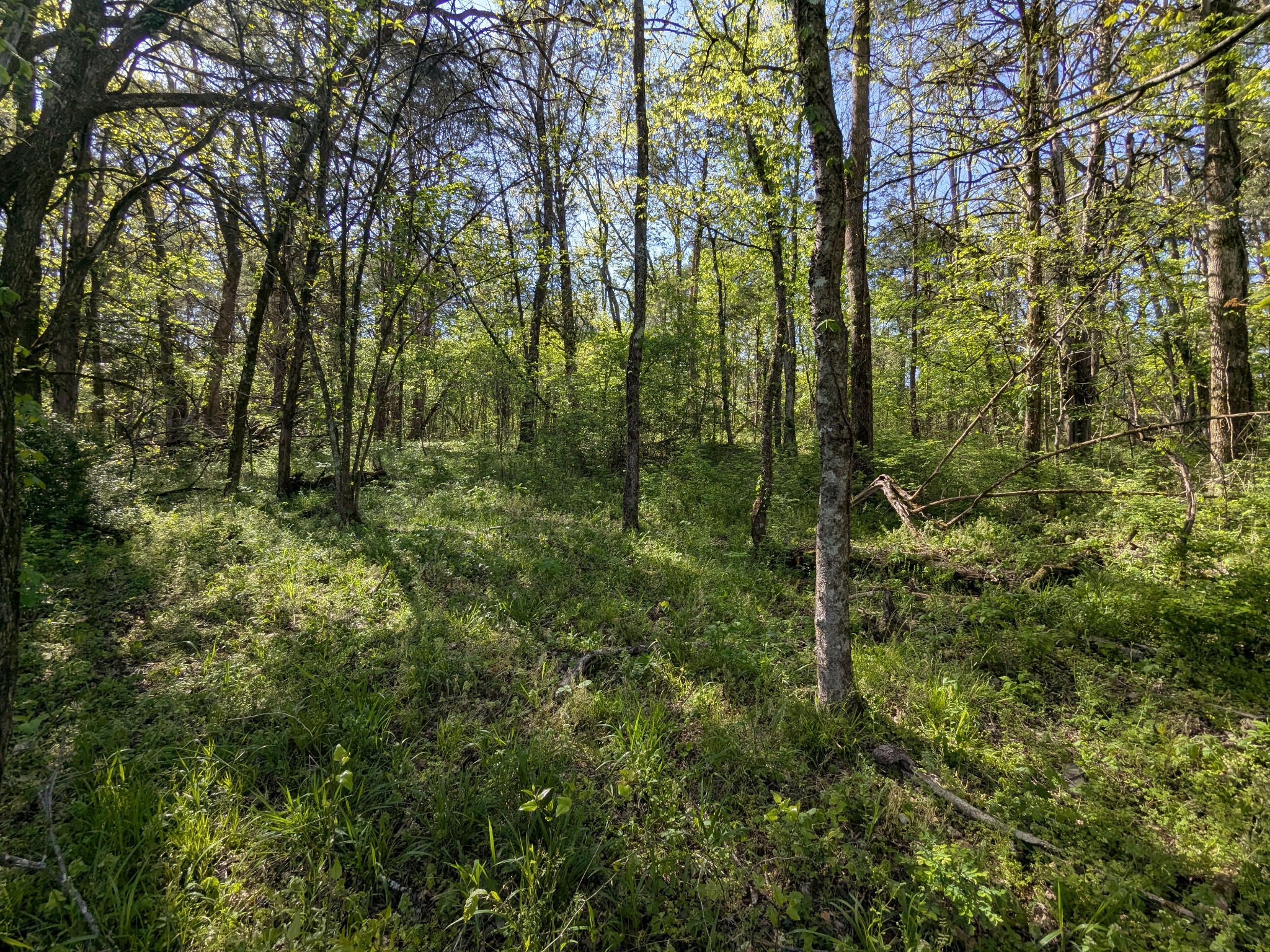 5 Old Stage Road Property Photo 2