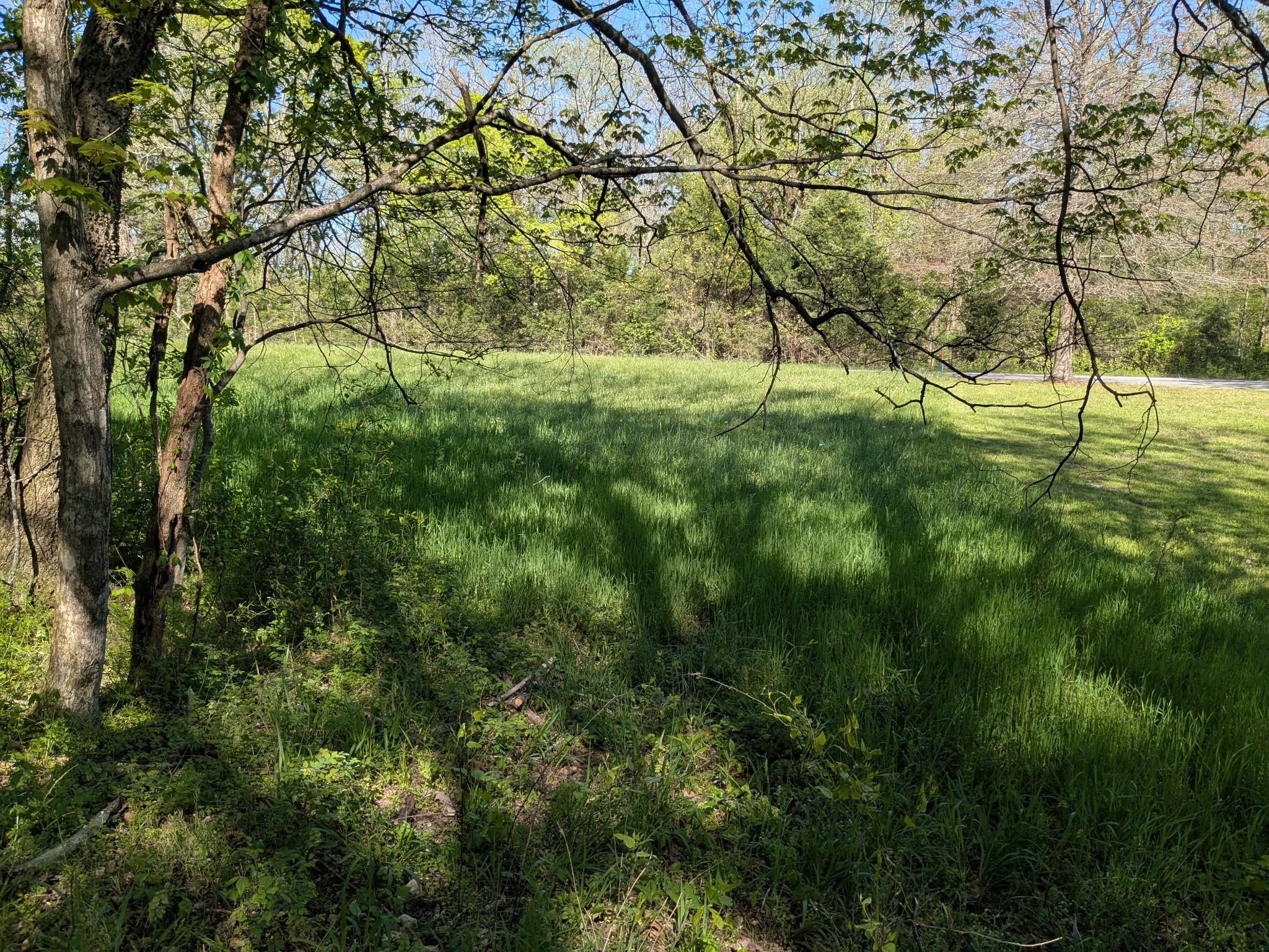 5 Old Stage Road Property Photo 3