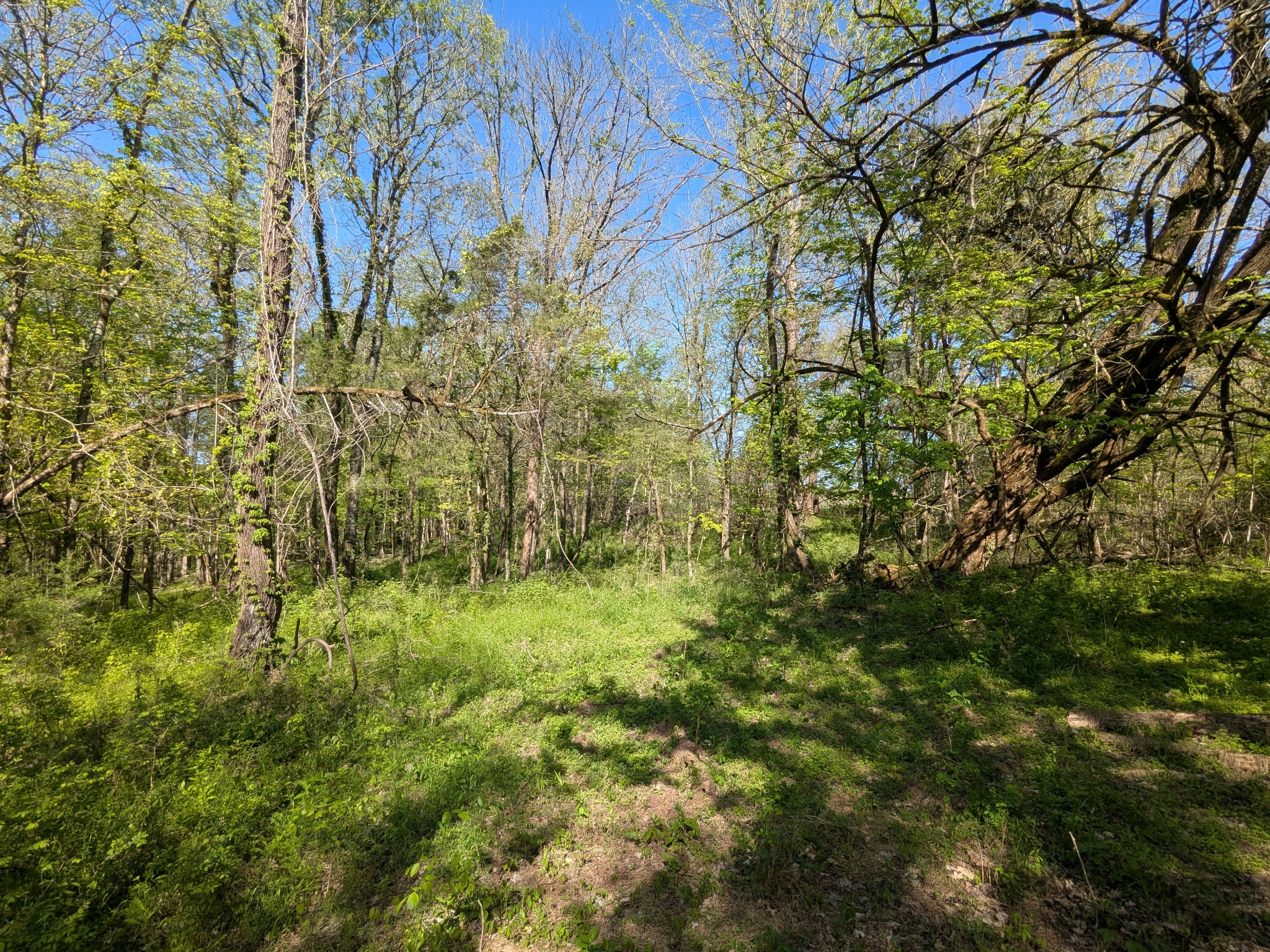 5 Old Stage Road Property Photo 4