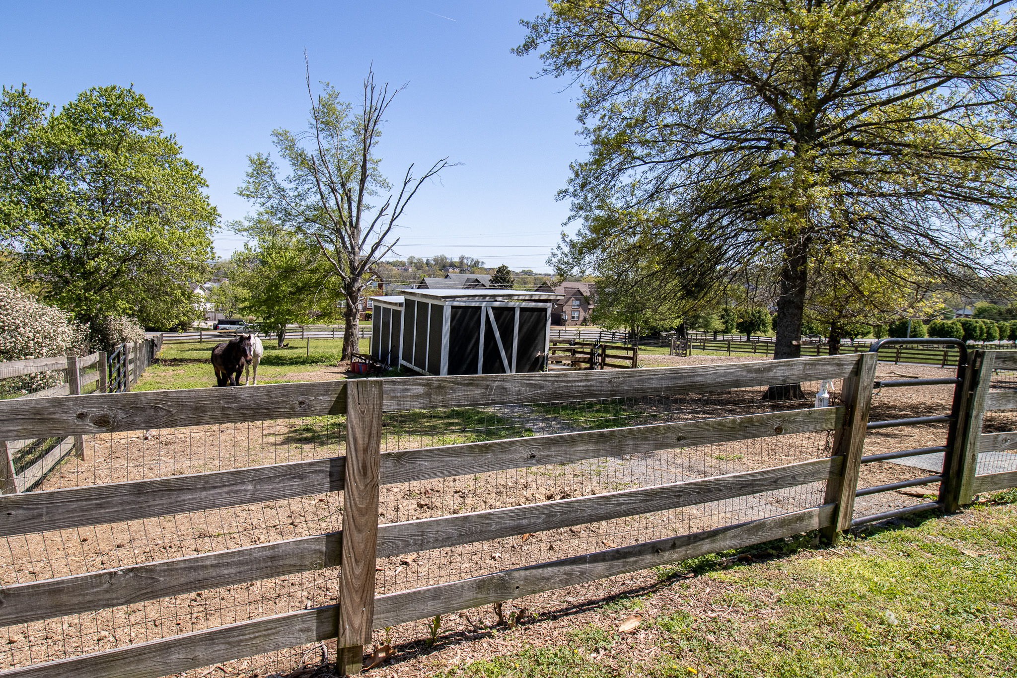 1633 Saundersville Rd Property Photo 54