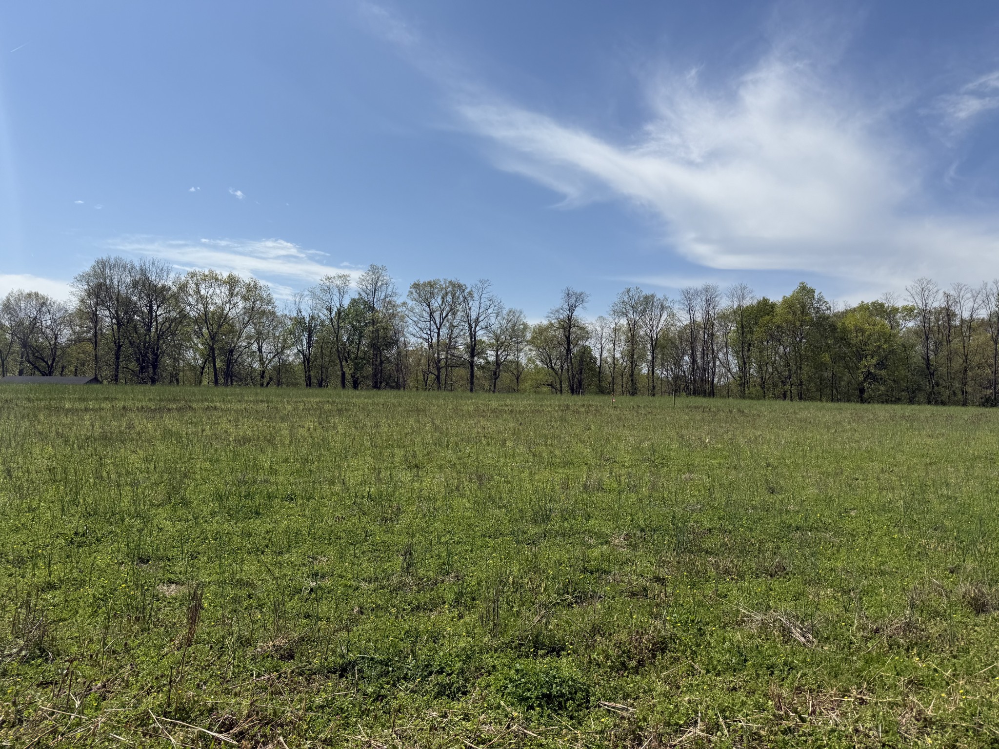 6245 Dyer Rd Property Photo