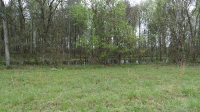 Moss Real Estate Listings Main Image