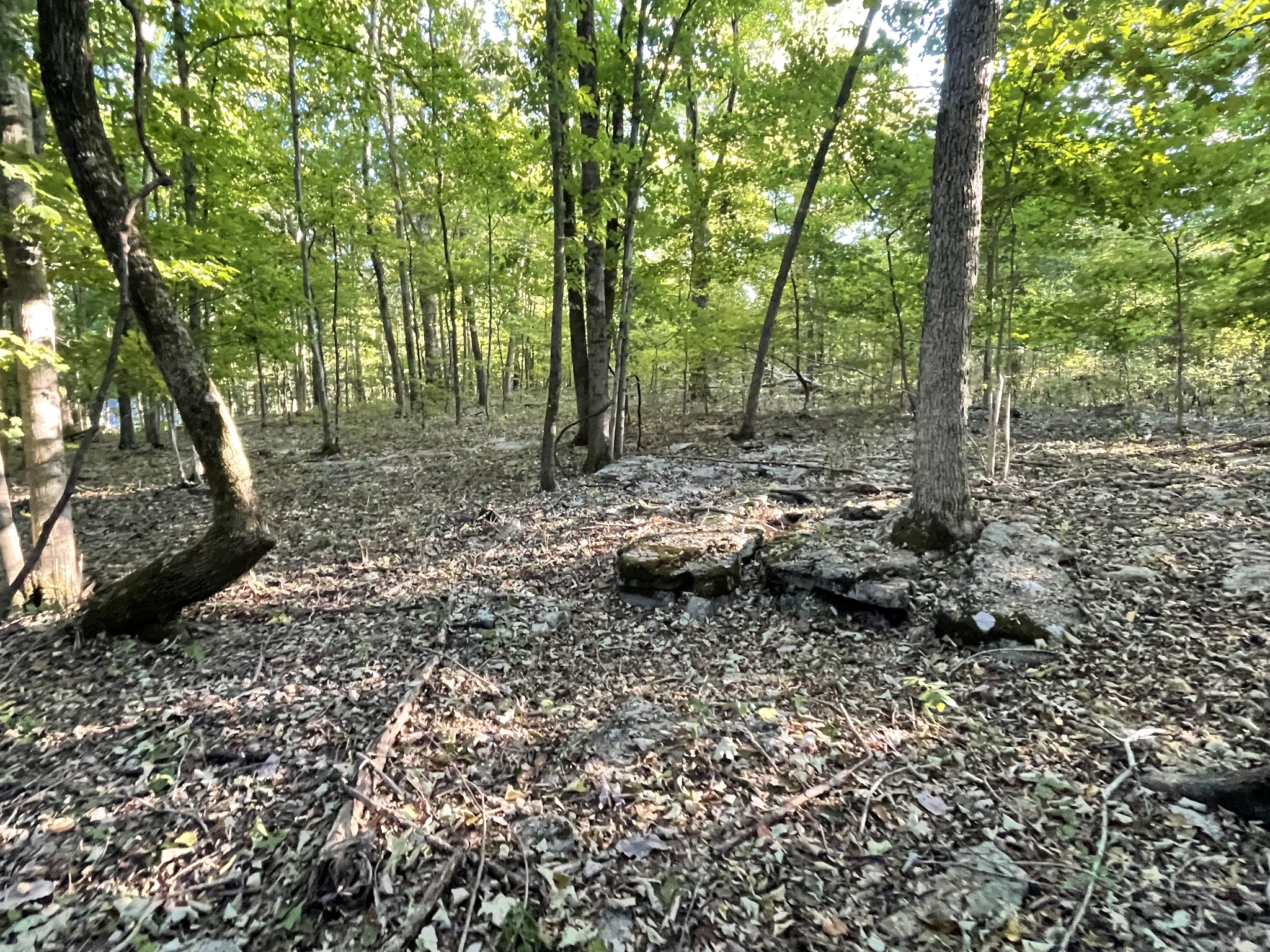 0 Carthage Hwy Property Photo