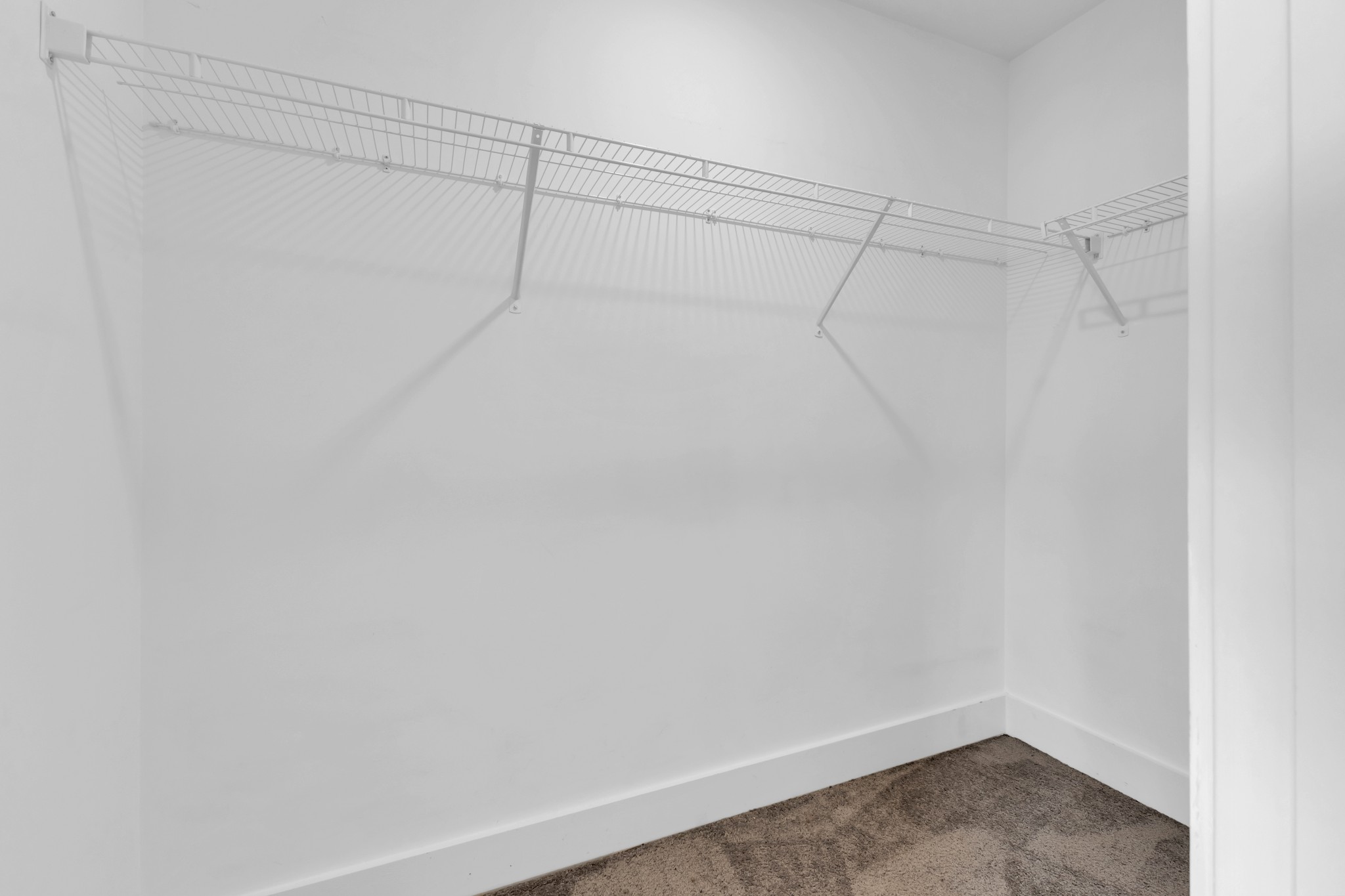 1537 White Tip Ln Property Photo 21