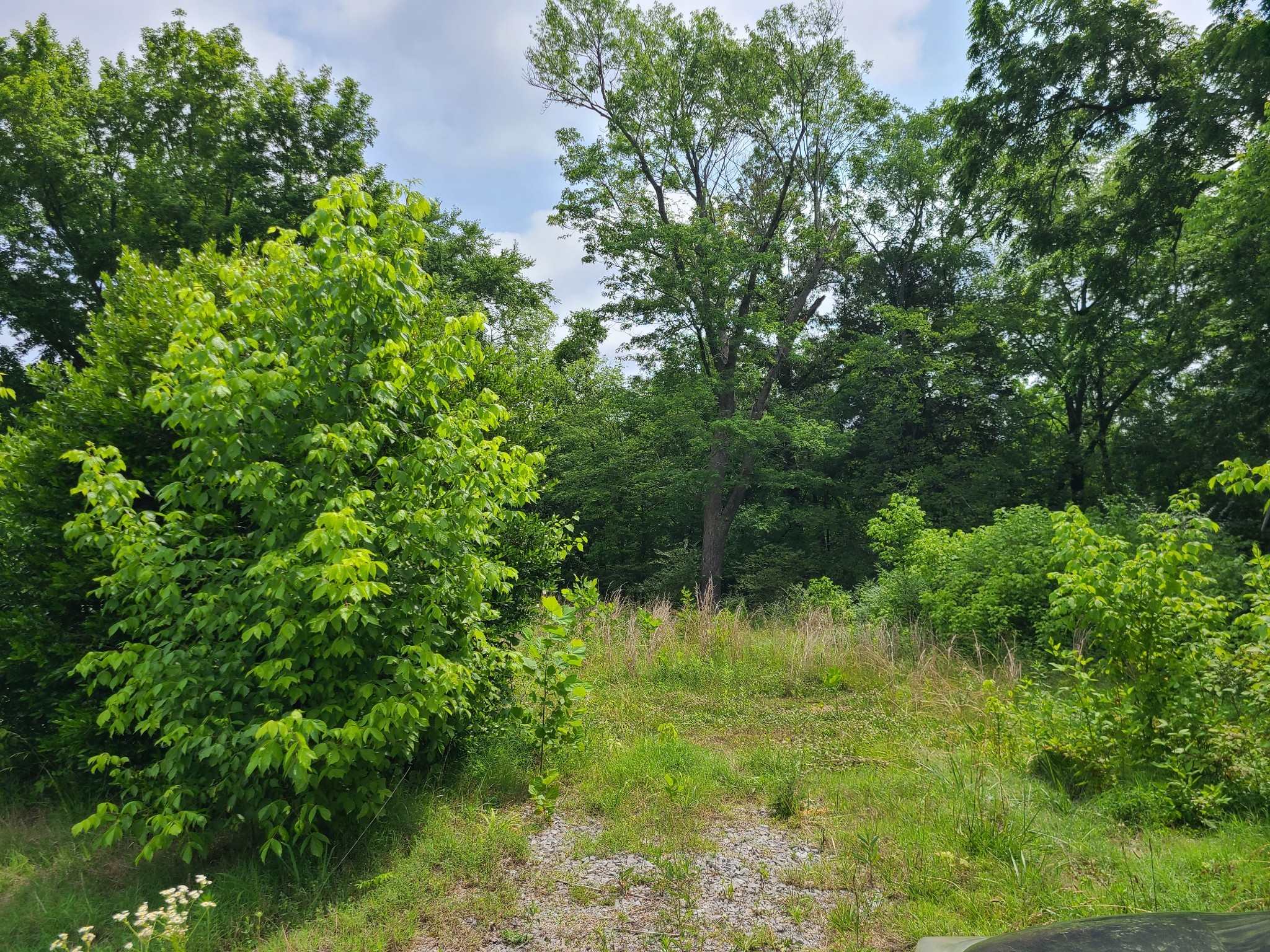 8725 Highway 109, N Property Photo 4