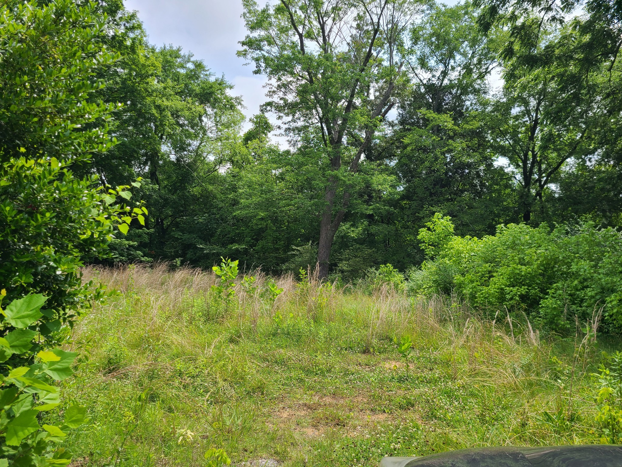 8725 Highway 109, N Property Photo 5