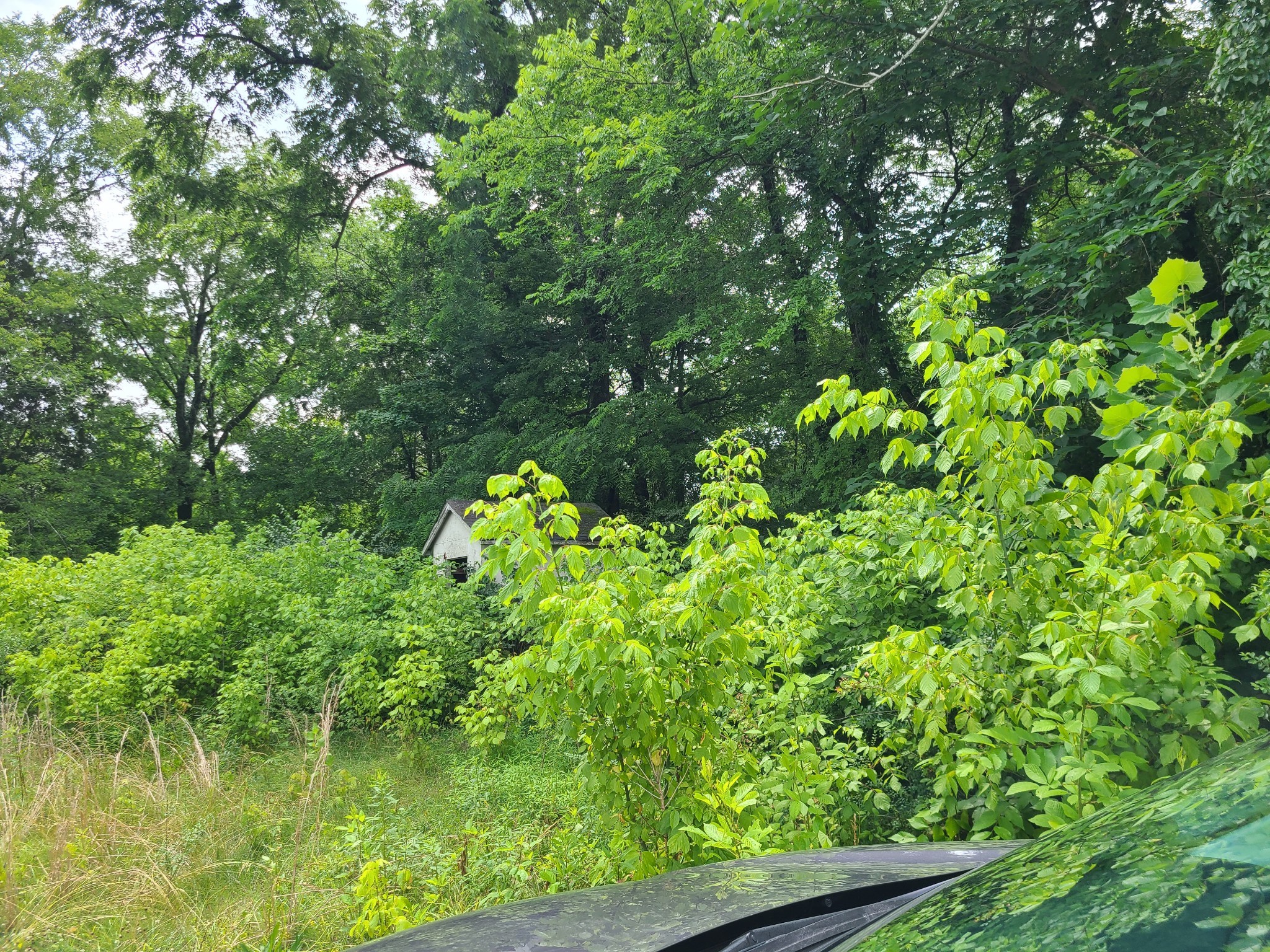 8725 Highway 109, N Property Photo 6