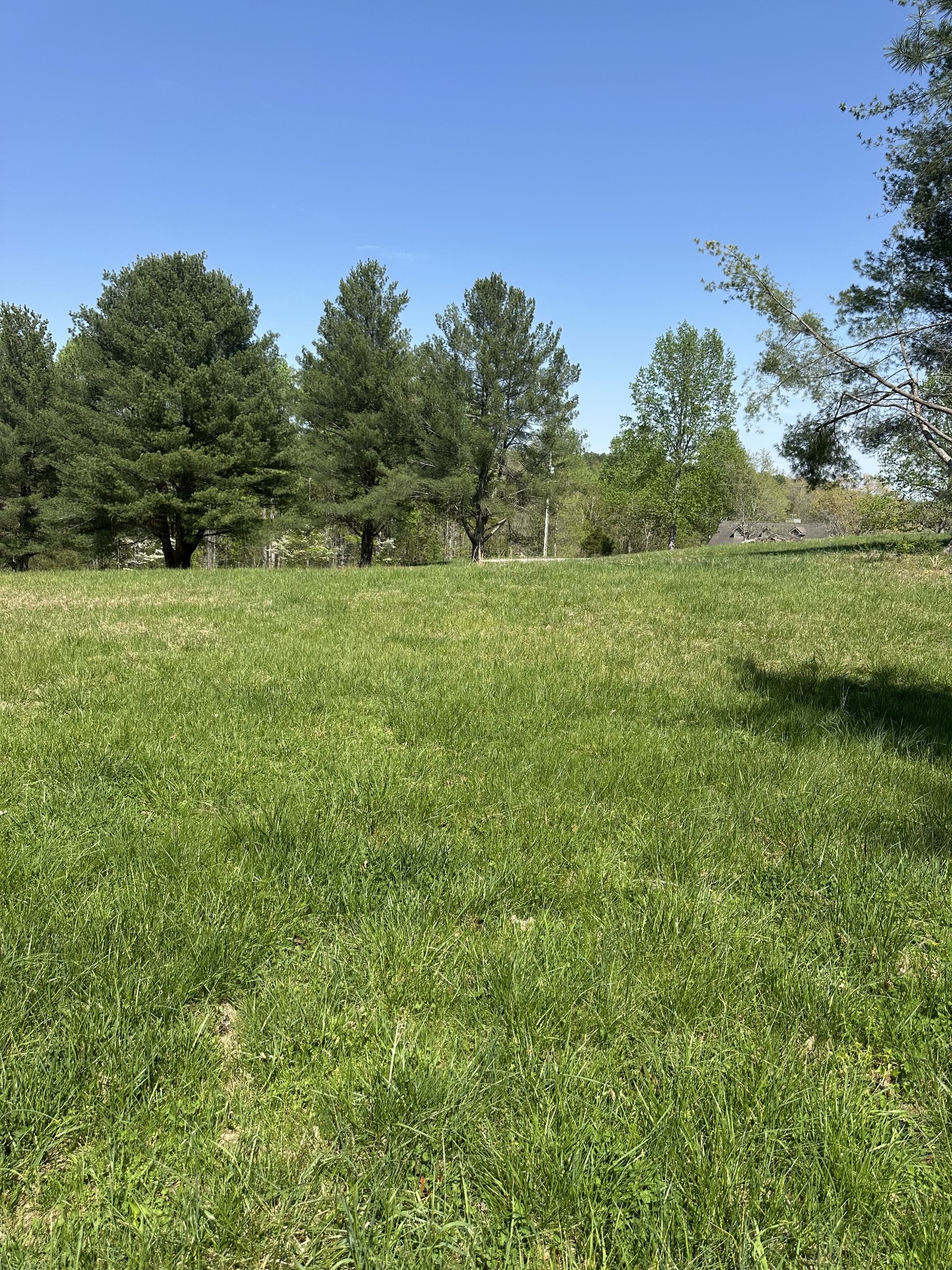 0 Fish Hook Dr Property Photo