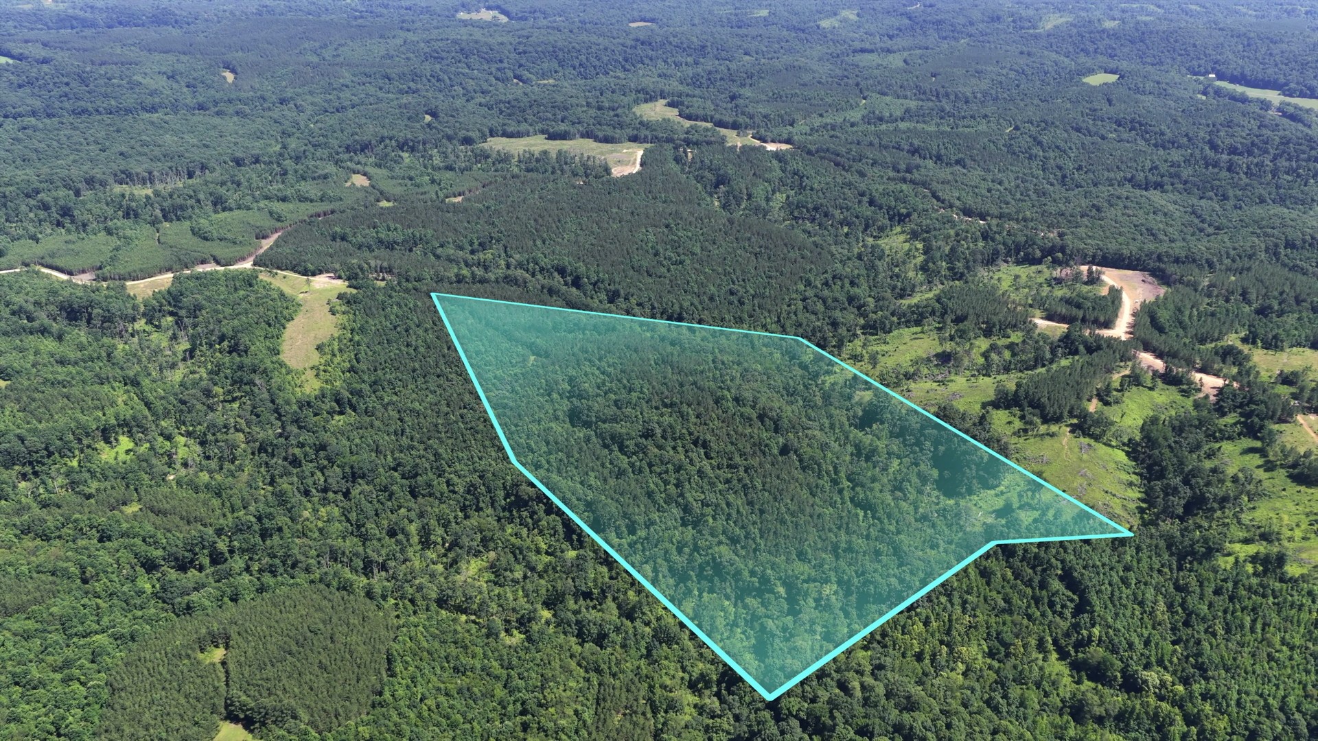 0 Cox Hollow Rd Lot 25 Property Photo 2