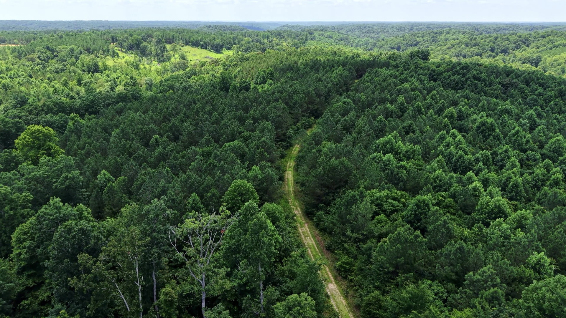 0 Cox Hollow Rd Lot 25 Property Photo 19