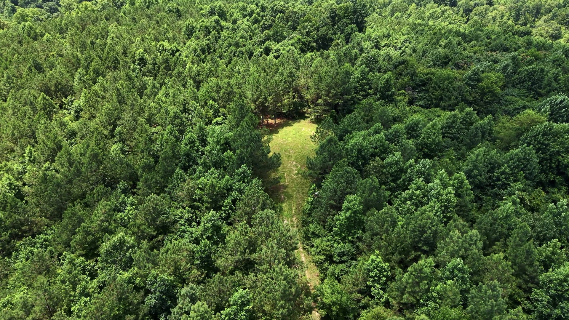 0 Cox Hollow Rd Lot 25 Property Photo 20