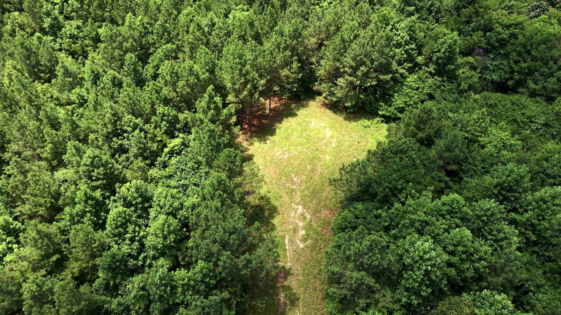 0 Cox Hollow Rd Lot 25 Property Photo 21