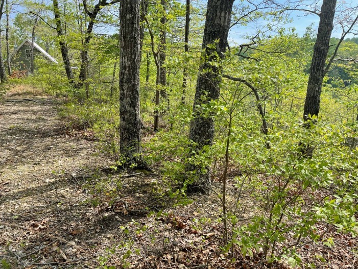 0 Hurricane Drive Property Photo 2