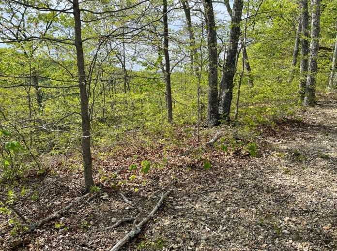 0 Hurricane Drive Property Photo 3