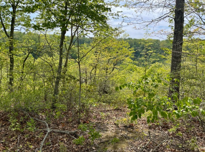 0 Hurricane Drive Property Photo 4