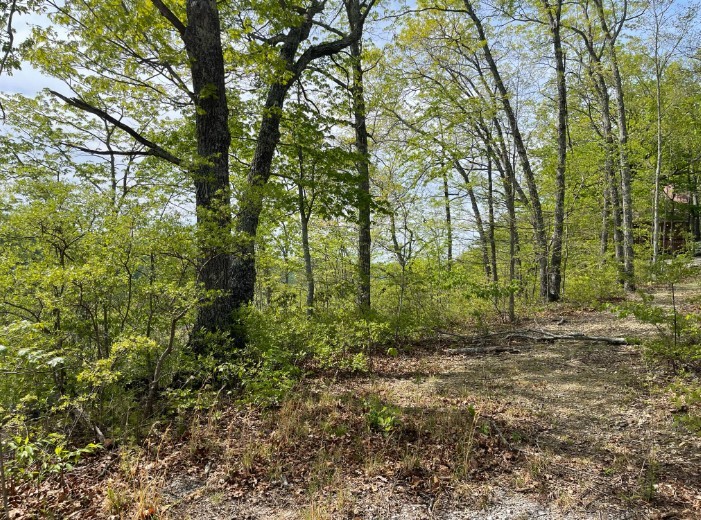 0 Hurricane Drive Property Photo 7