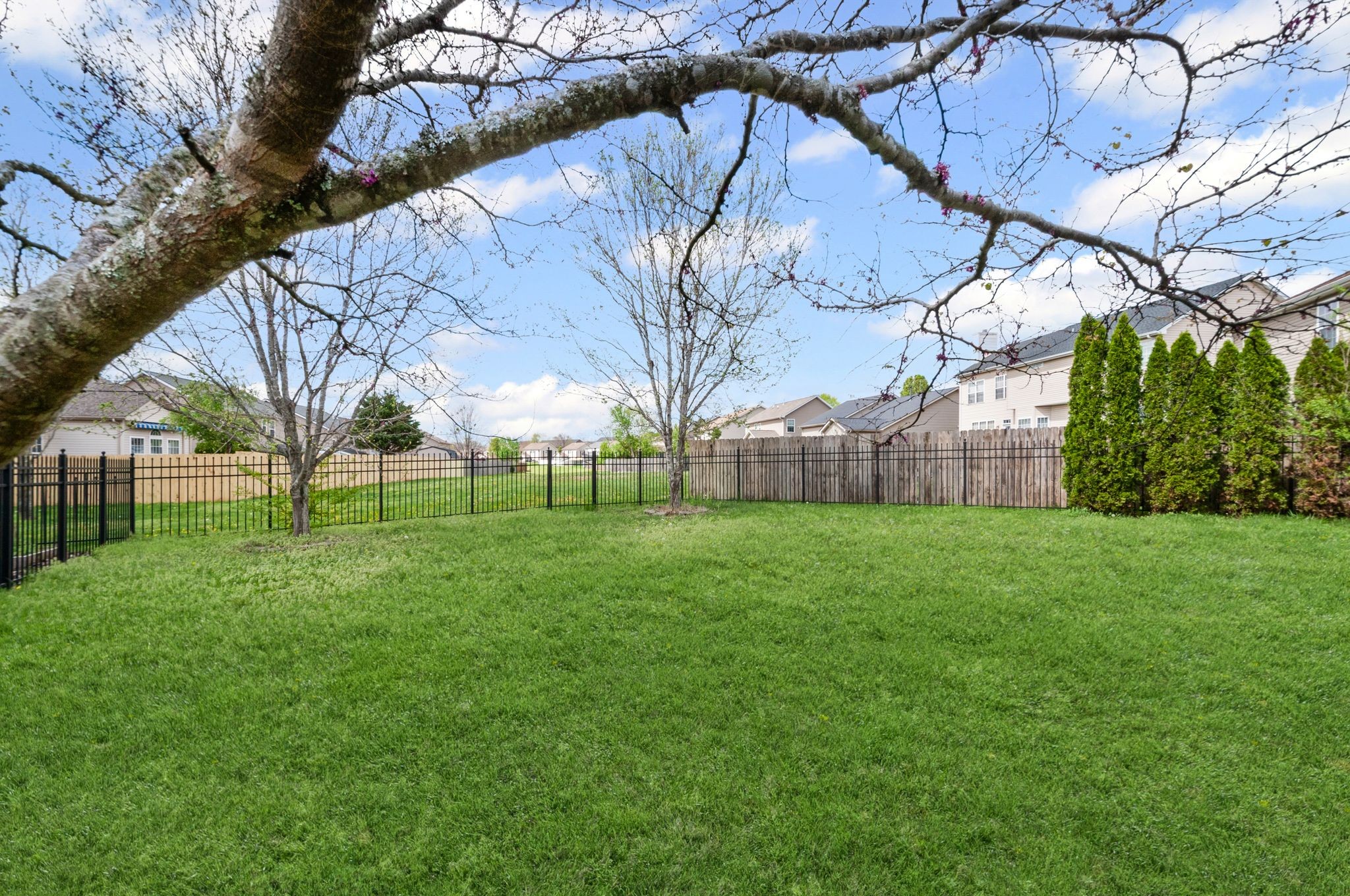 2005 Silverton Cir Property Photo 42
