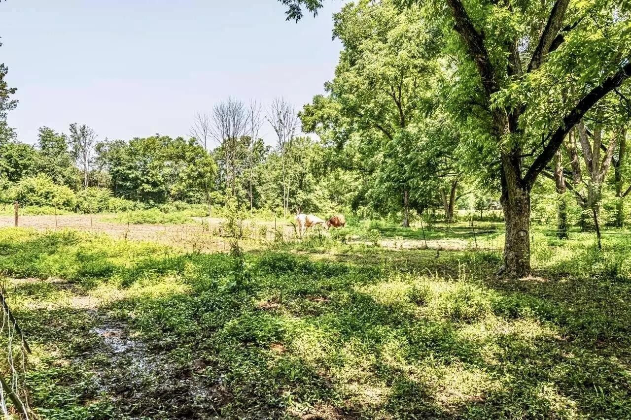 5755 Railroad St Property Photo 15