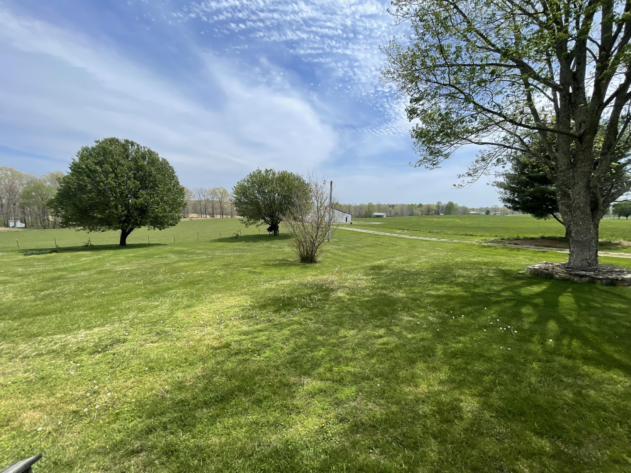 193 Lynn Rothwell Road Property Photo 26