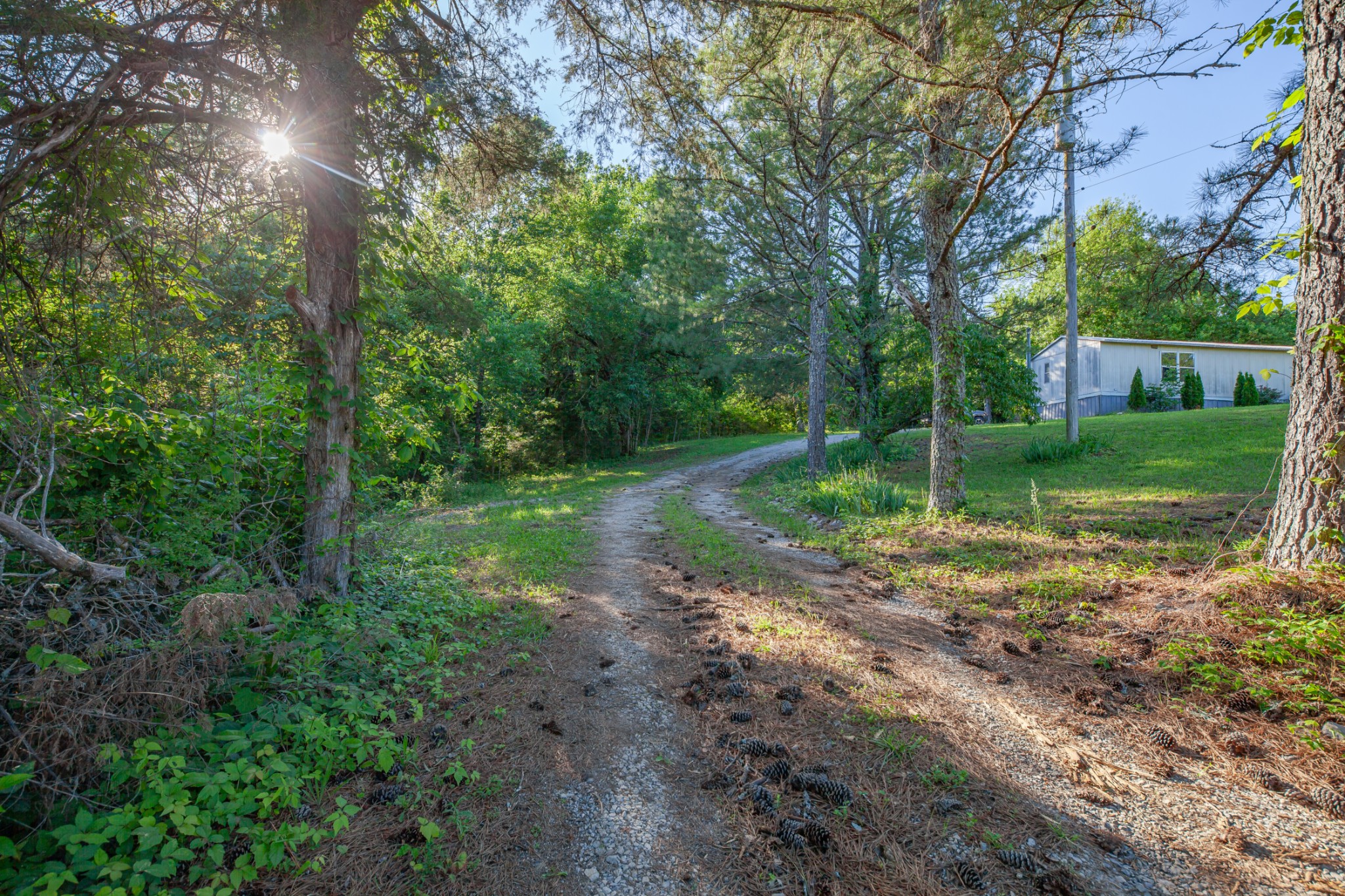 304 Fuss Hollow Rd Property Photo 12